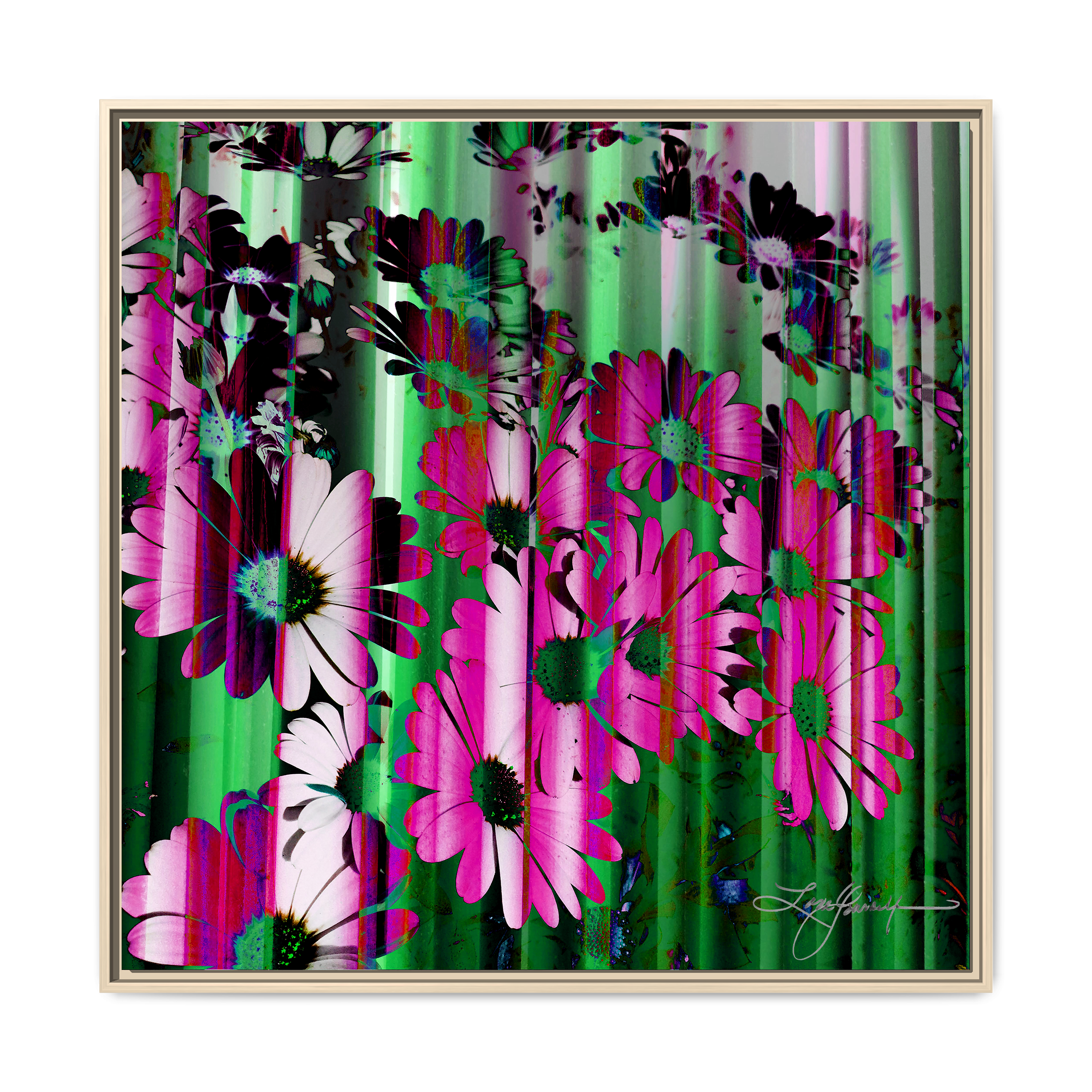 TBN009