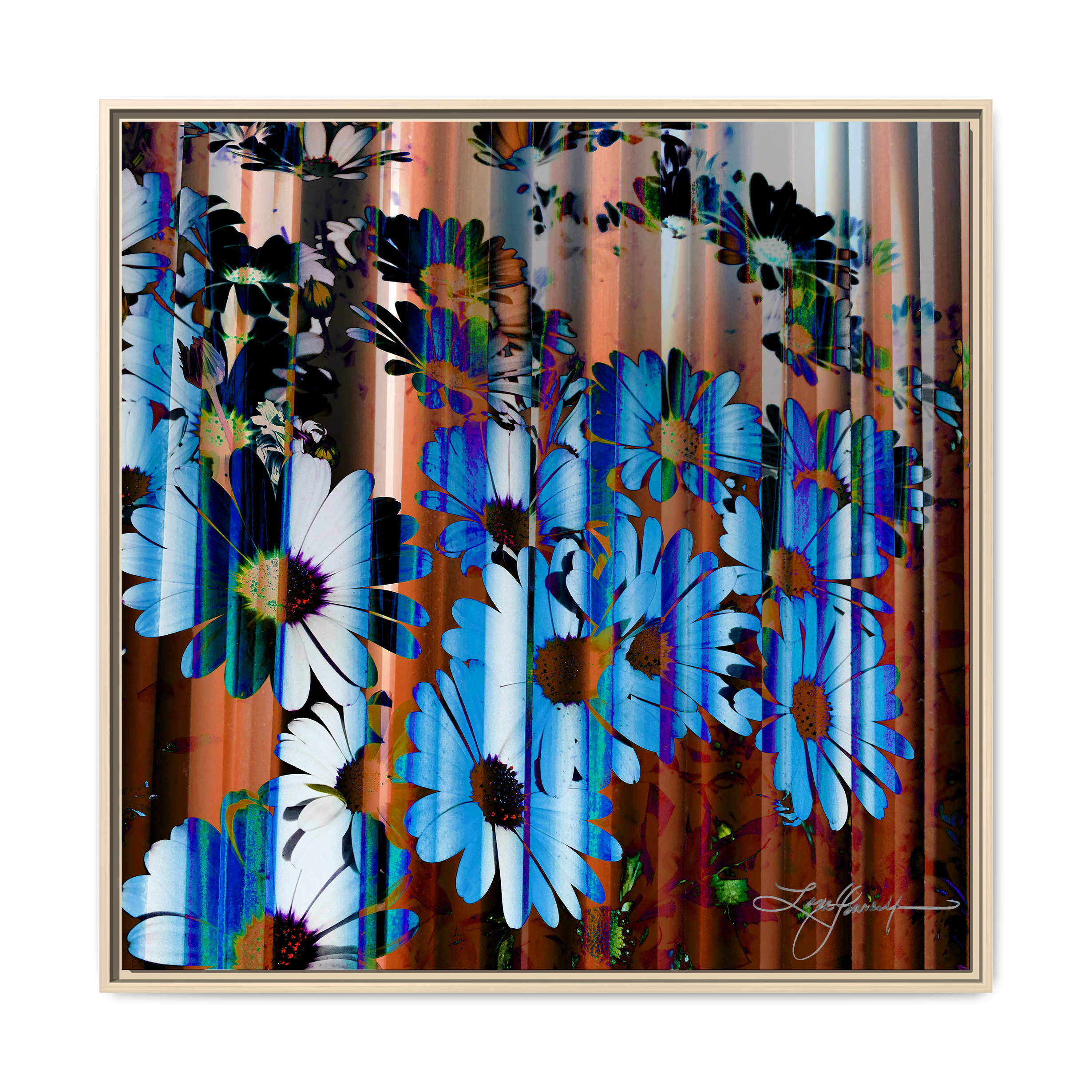 TBN009