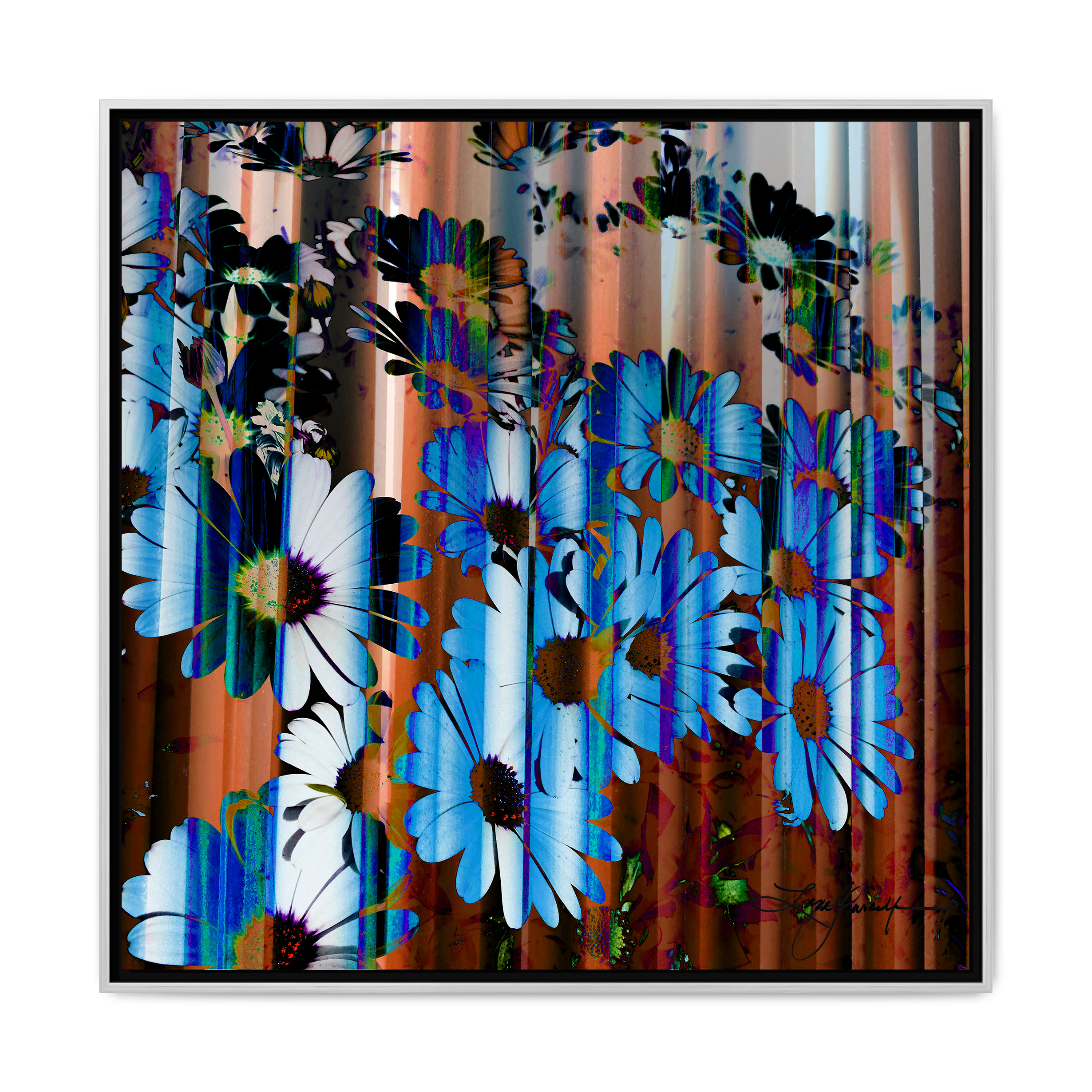 TBN009