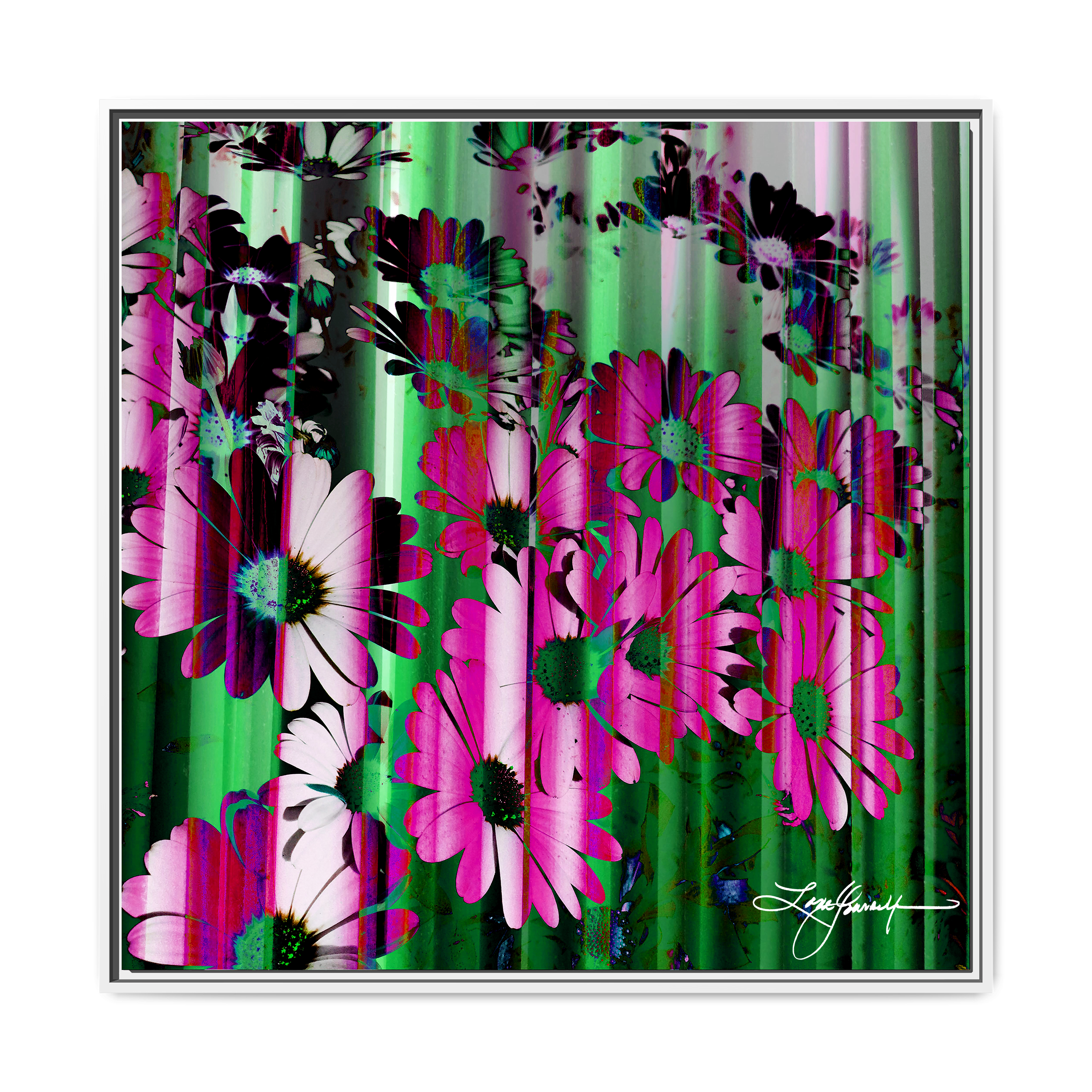 TBN009