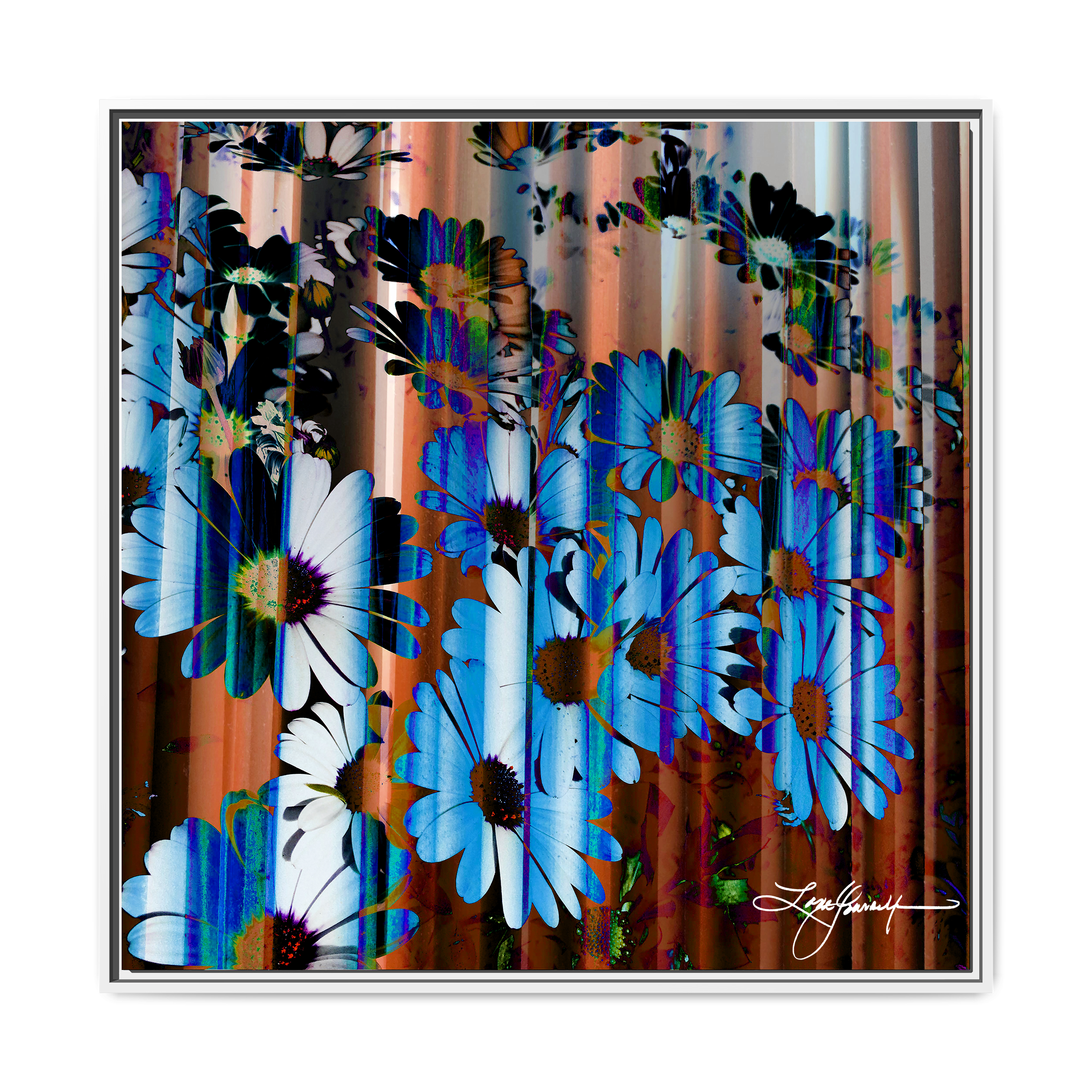 TBN009