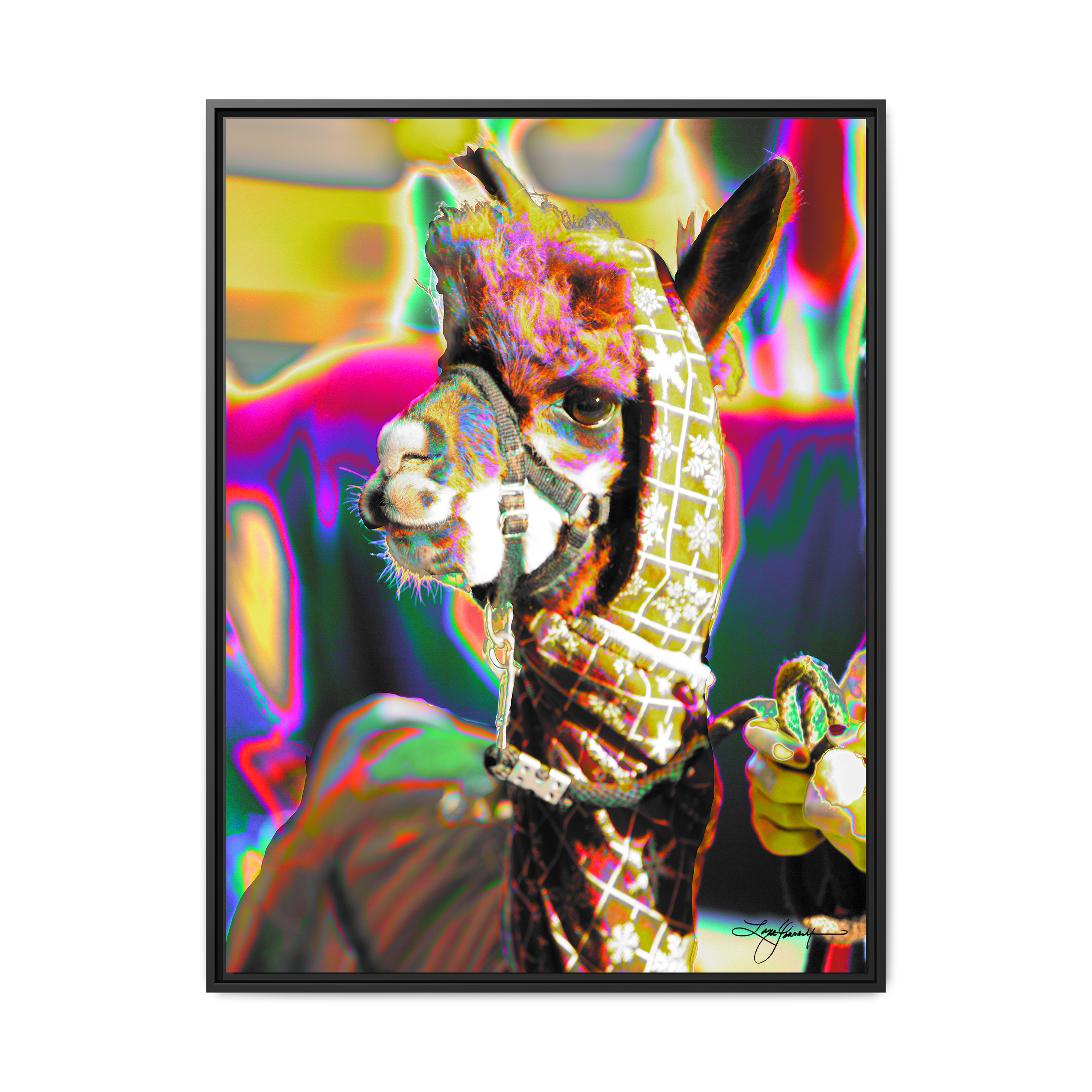 TBNF