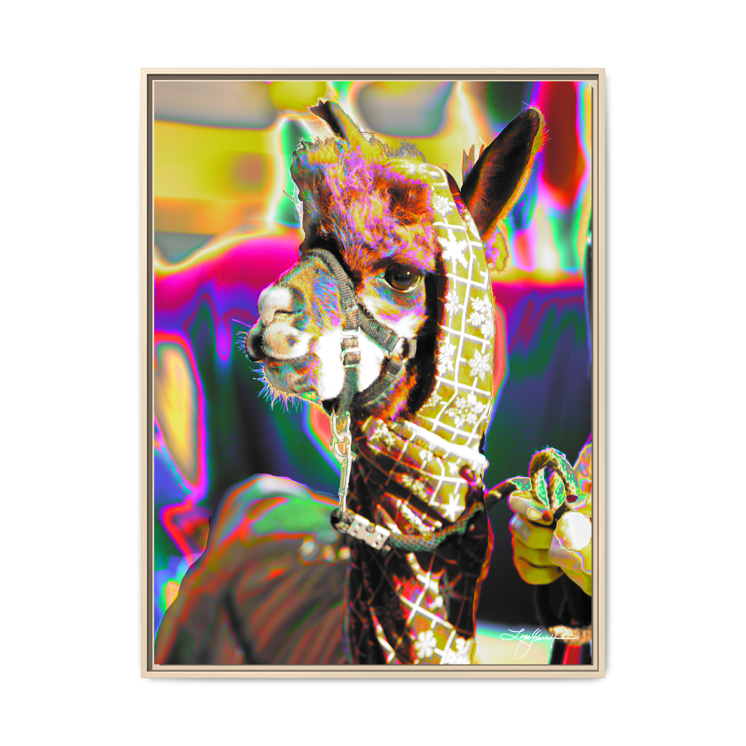 TBNF