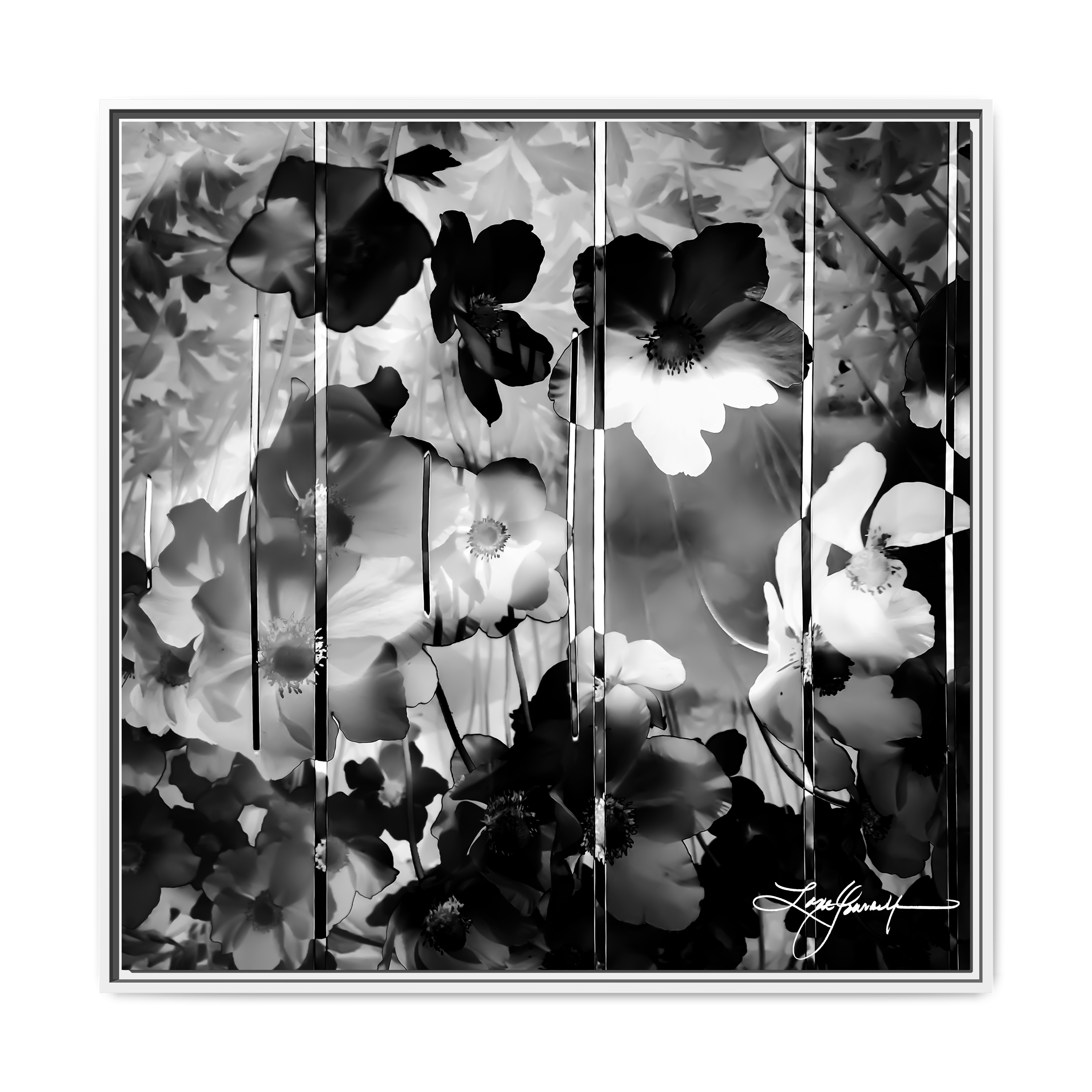 E White