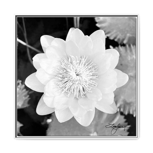 F White