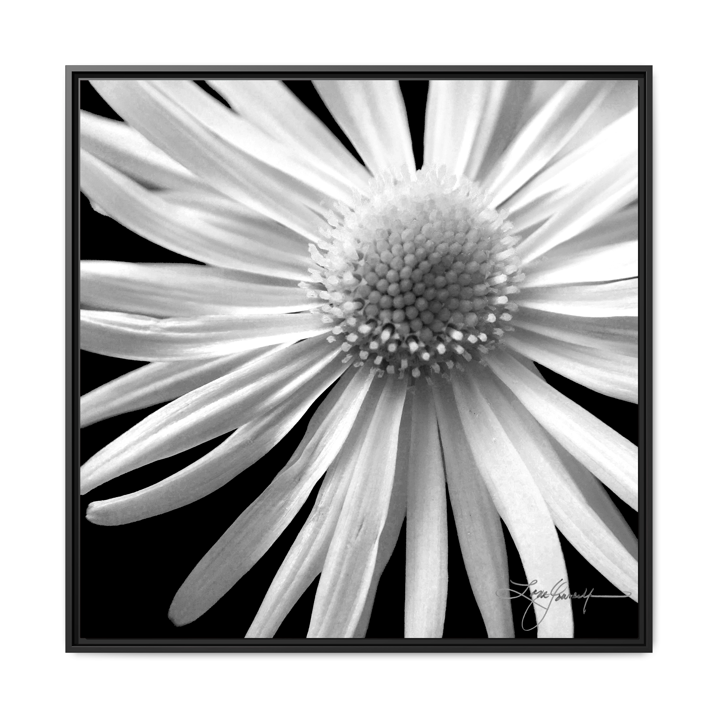 E Black