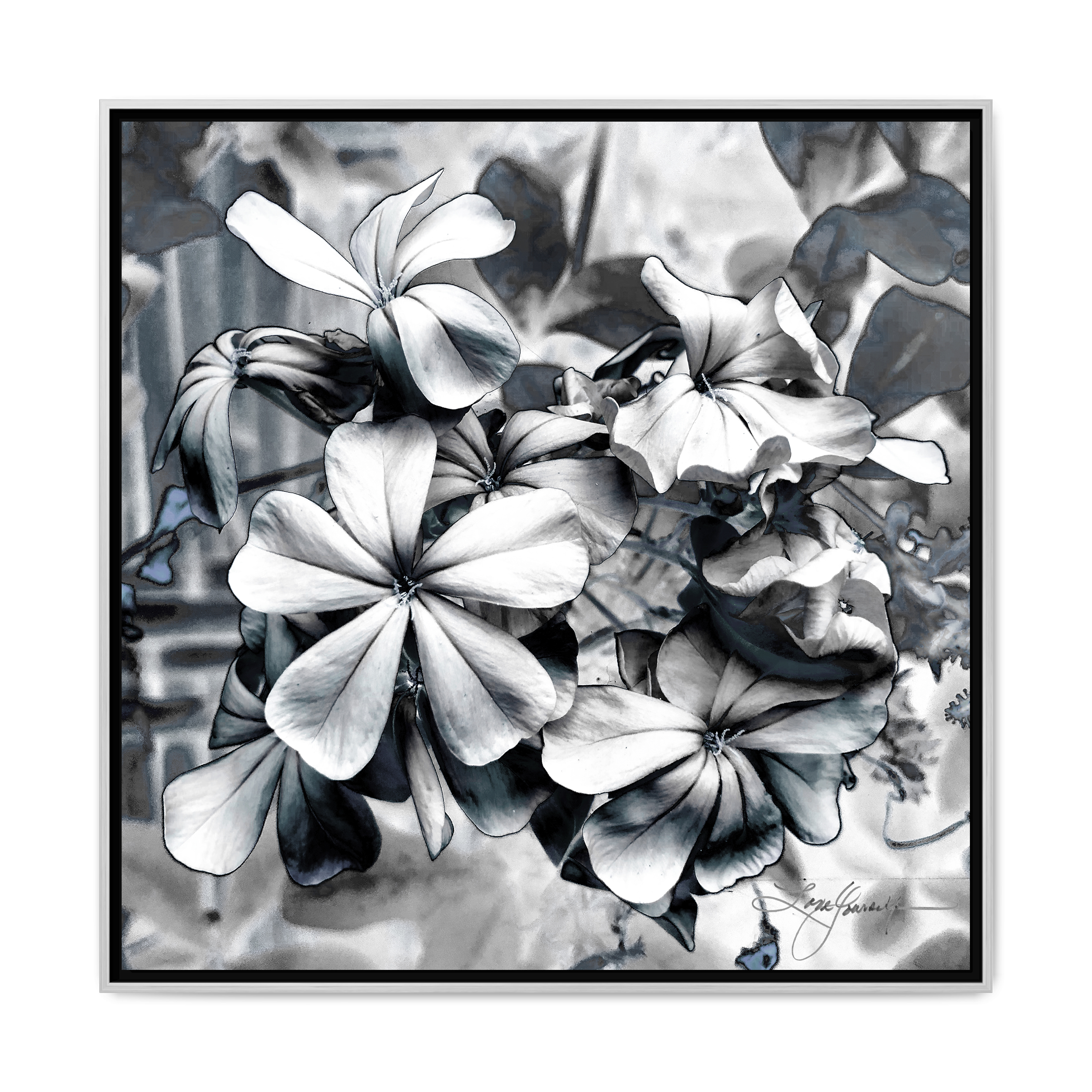 C Silver