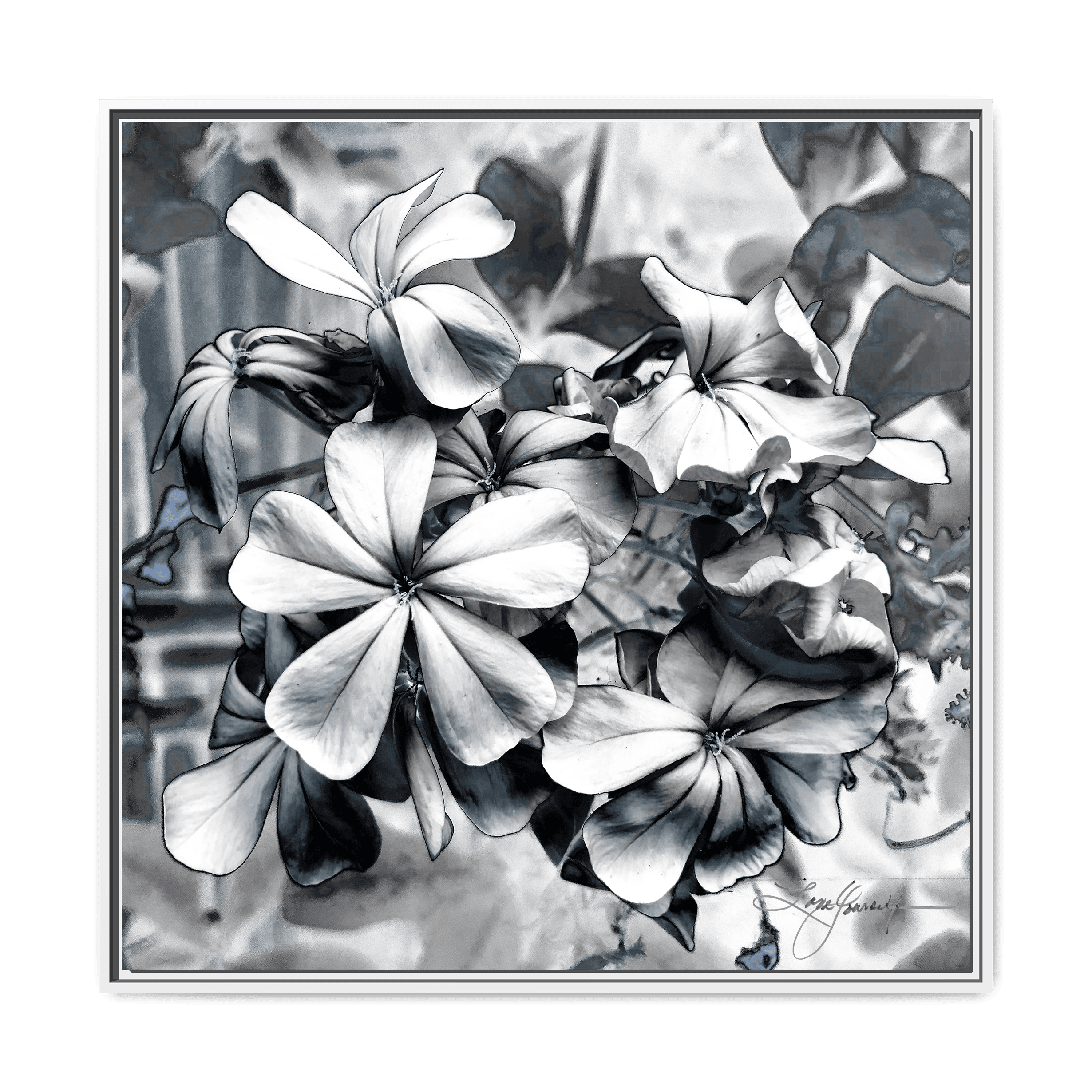 C White