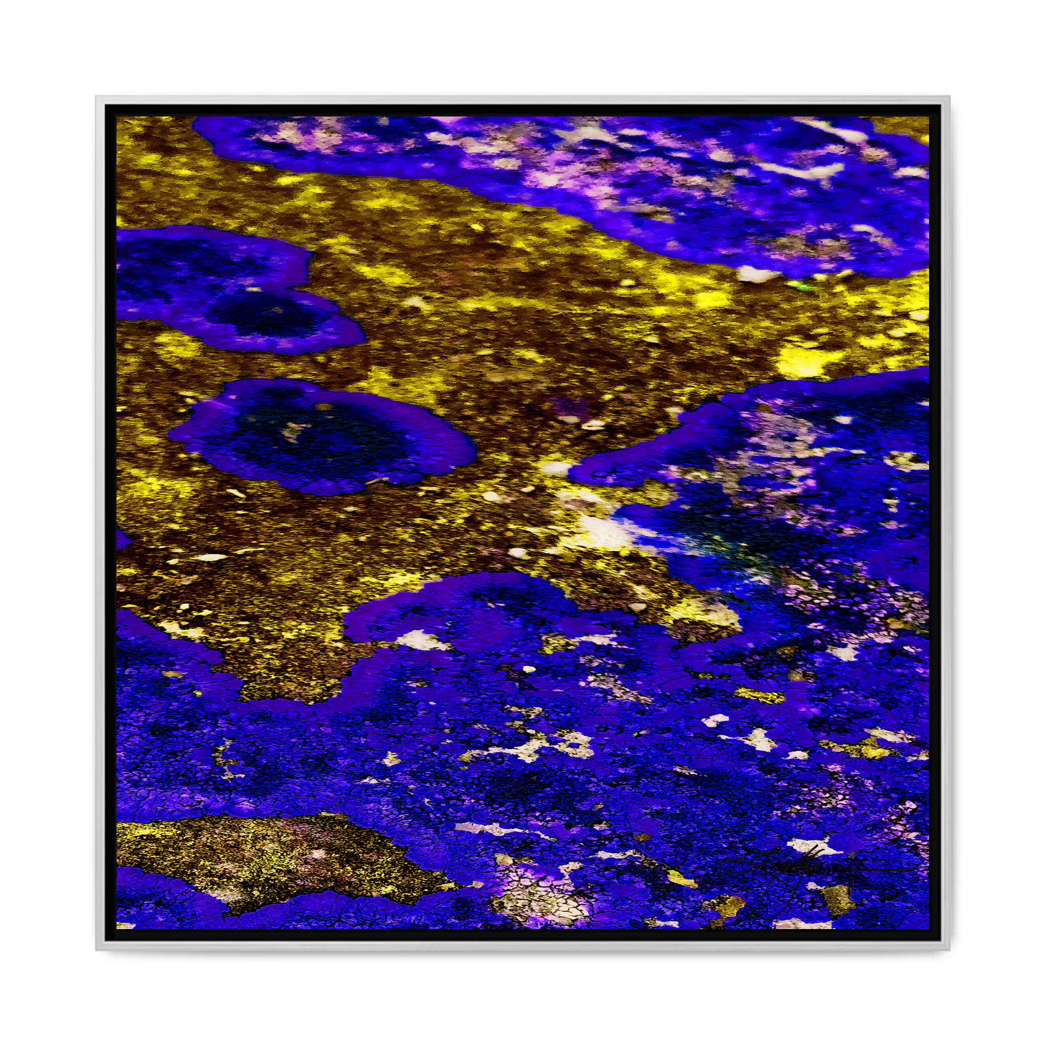 TBN003 - My Store