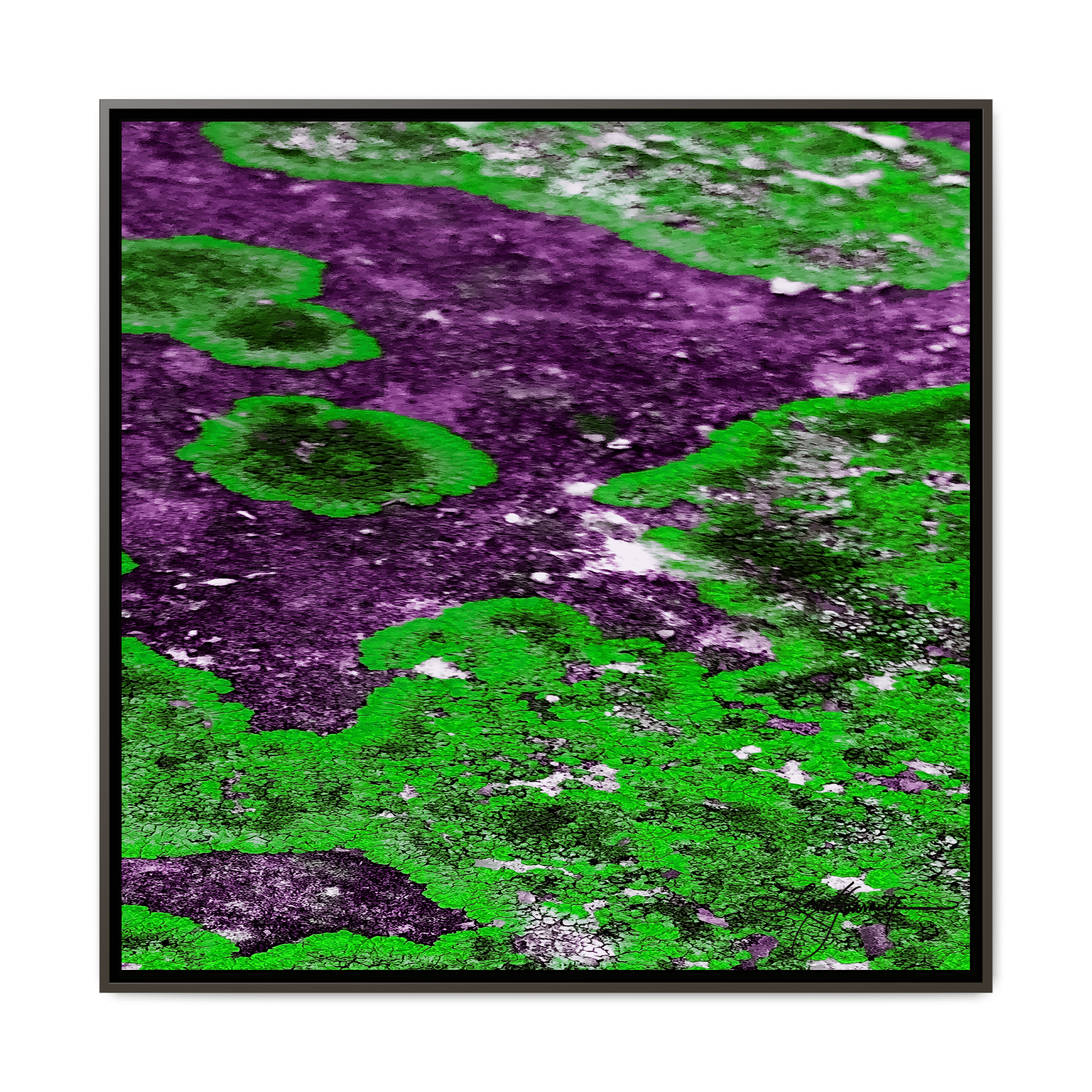 TBN003 - My Store