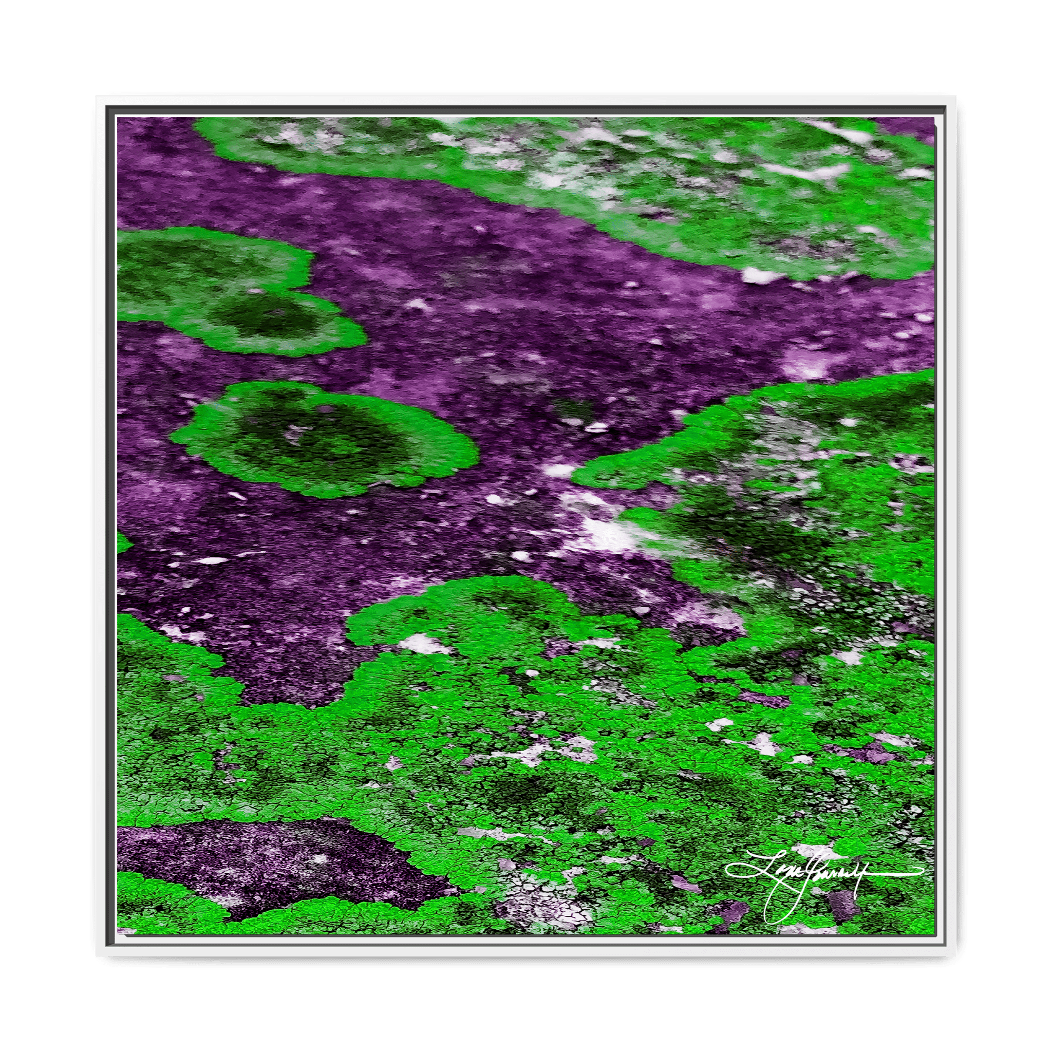 TBN003 - My Store