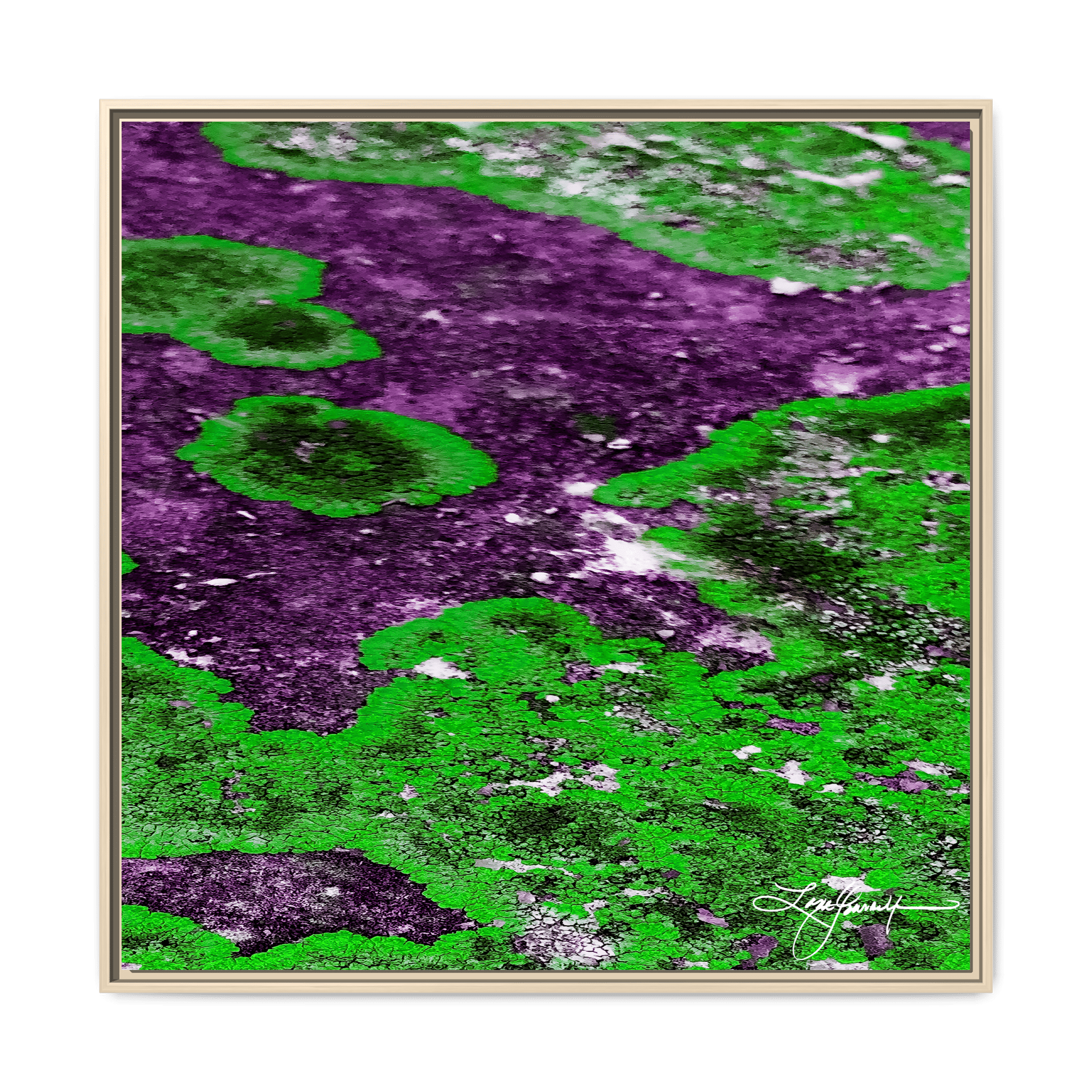 TBN003 - My Store
