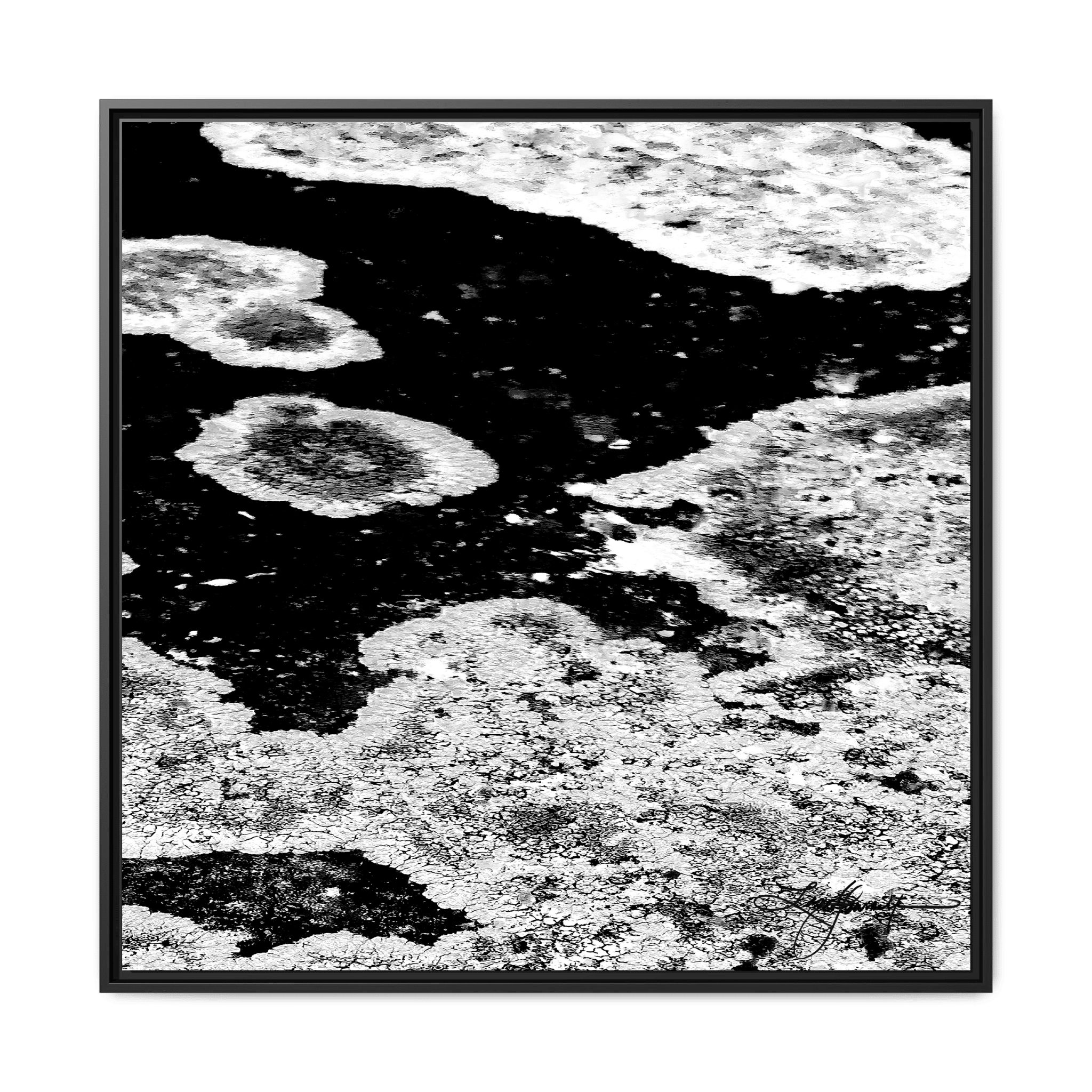TBN003 - My Store