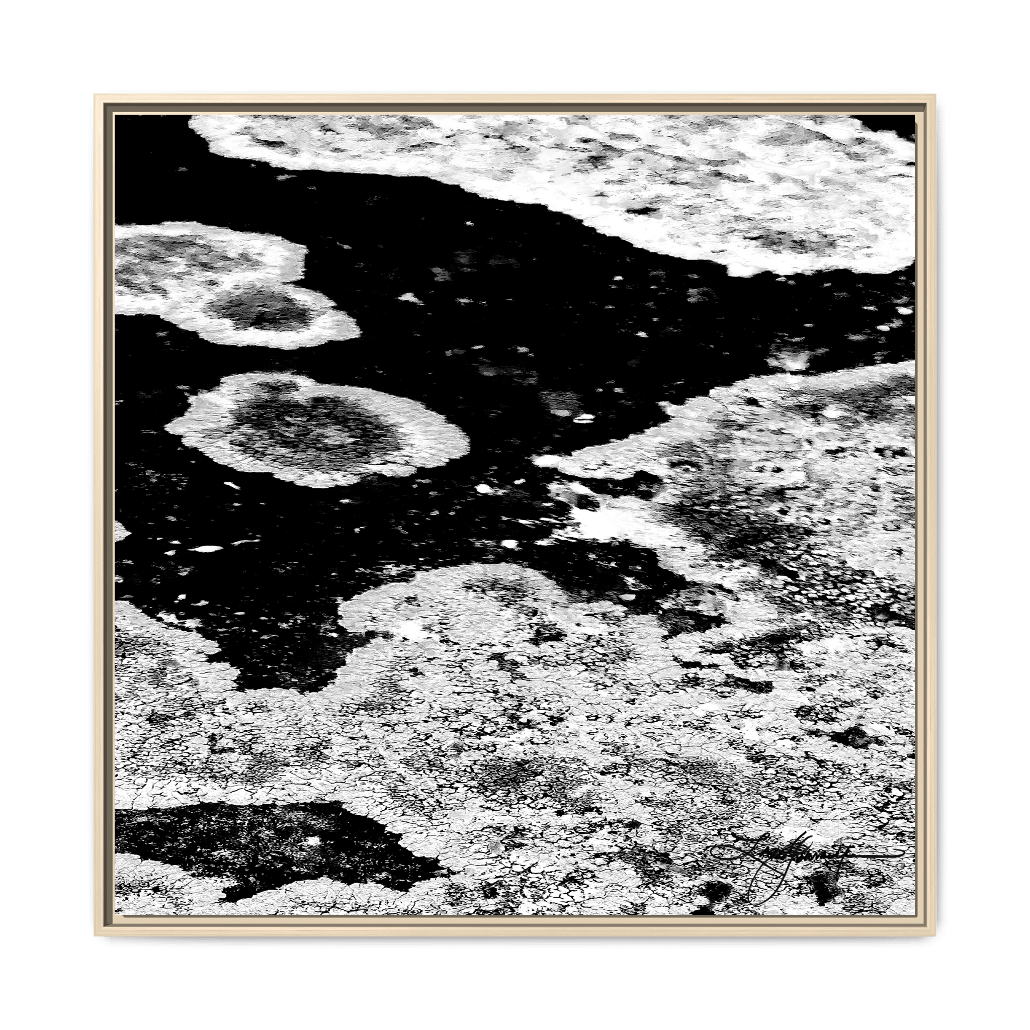 TBN003 - My Store