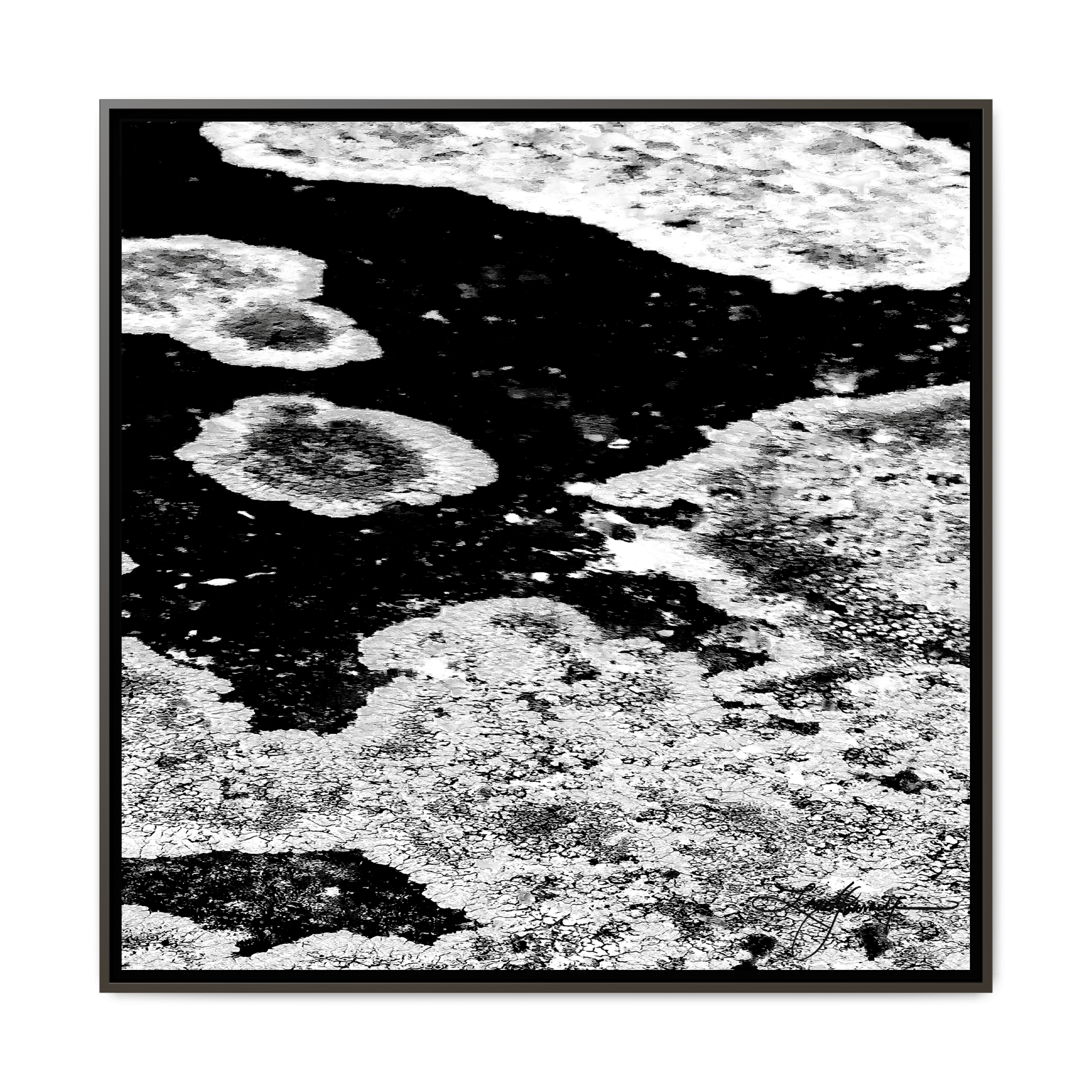 TBN003 - My Store