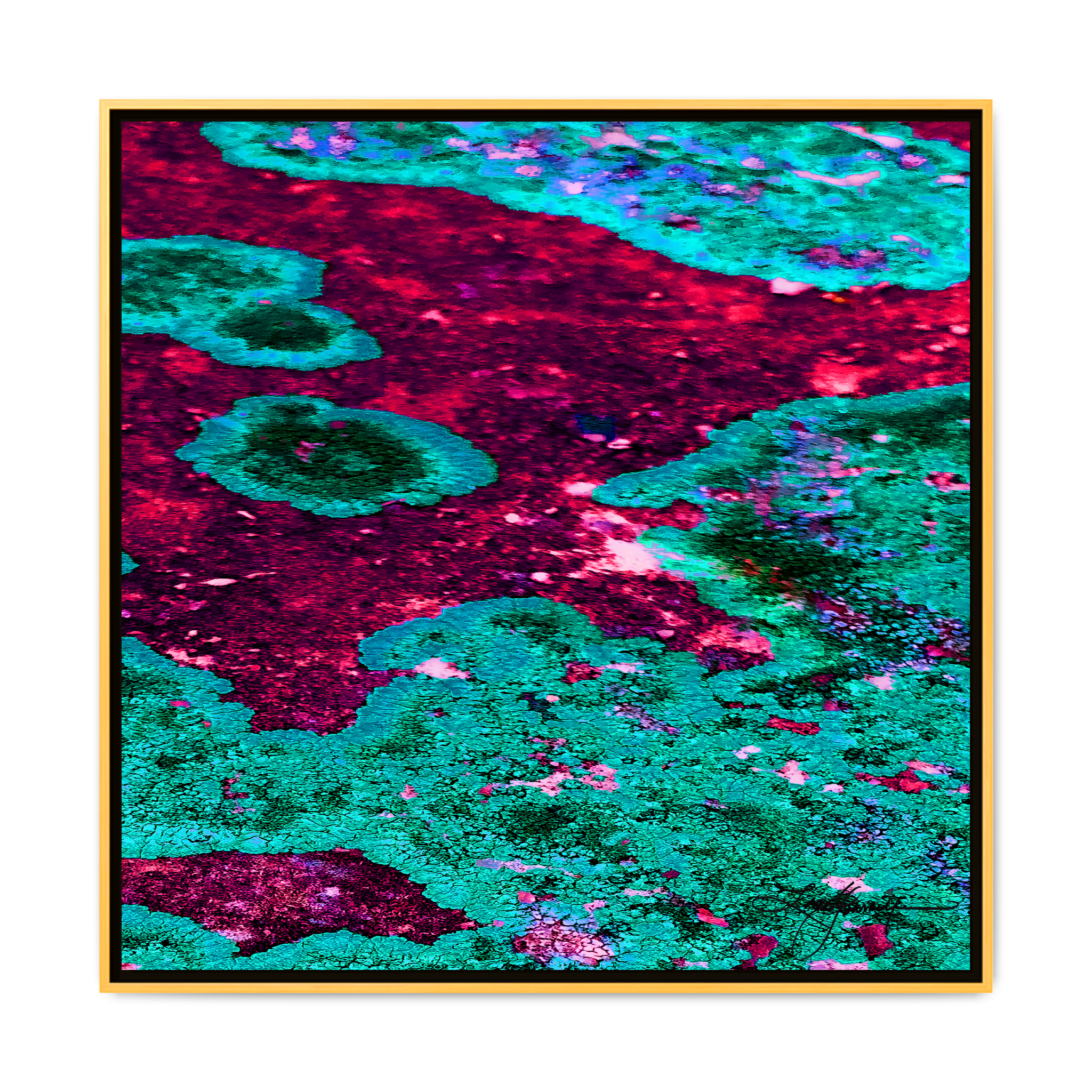 TBN003 - My Store