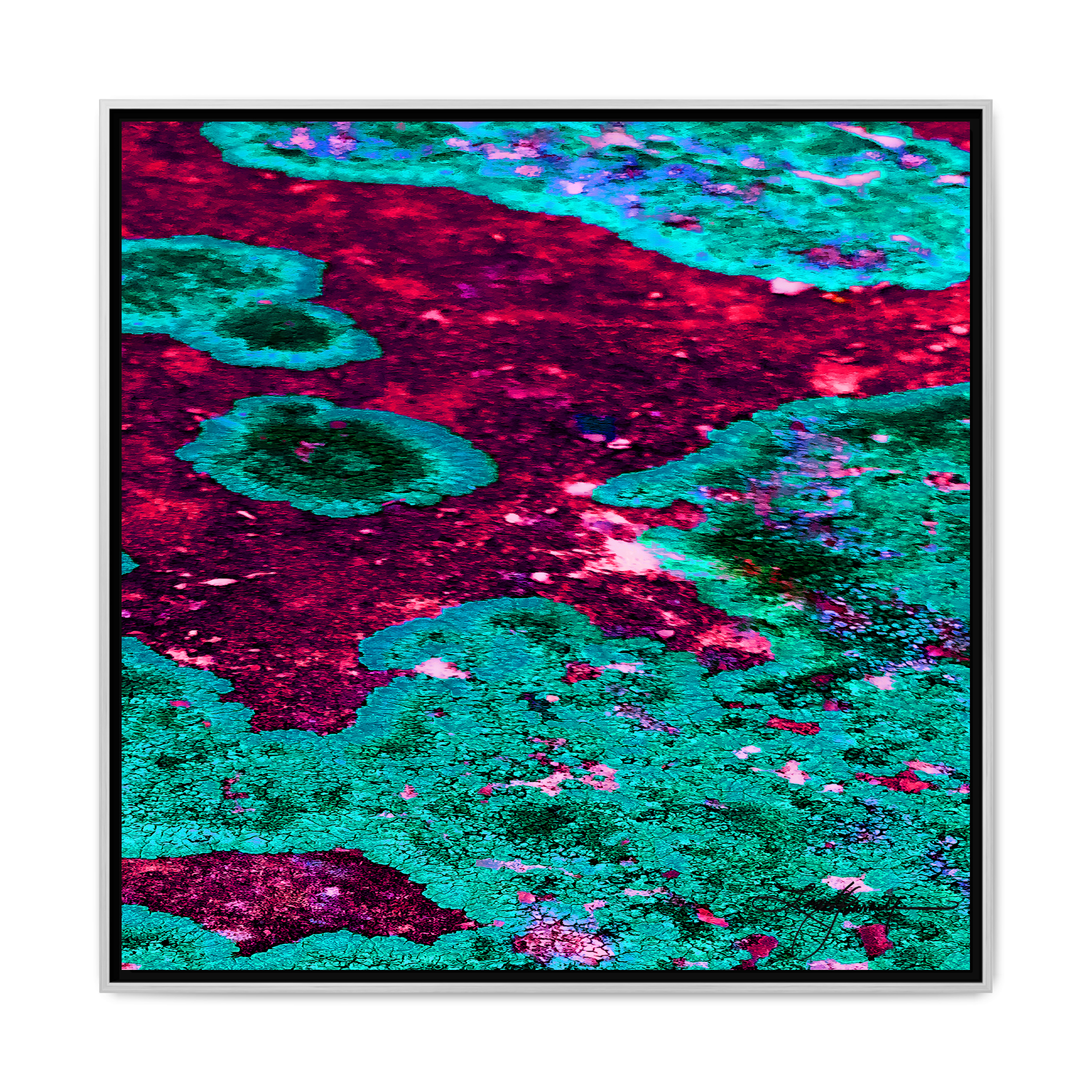 TBN003 - My Store