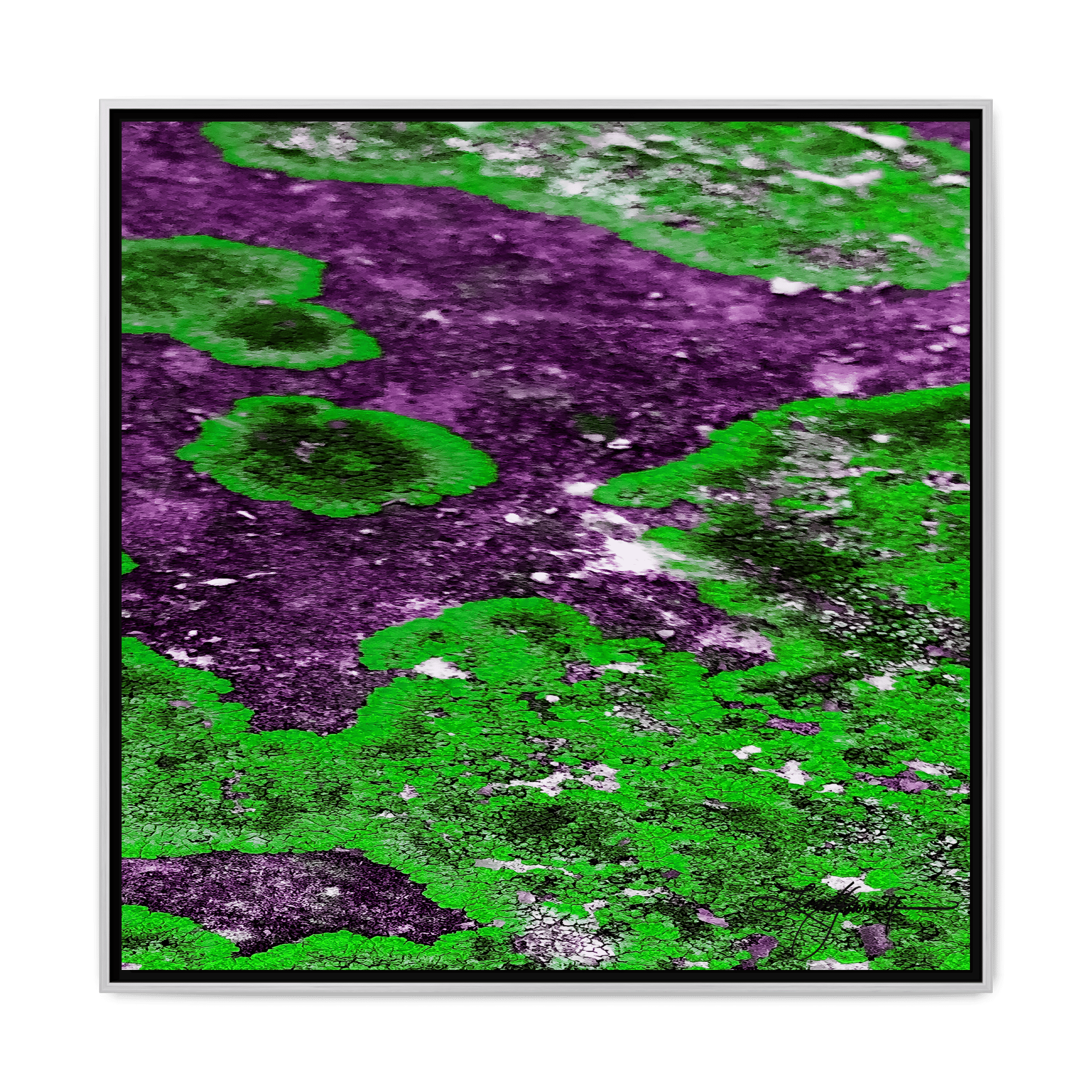 TBN003 - My Store