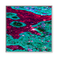 TBN003 - My Store