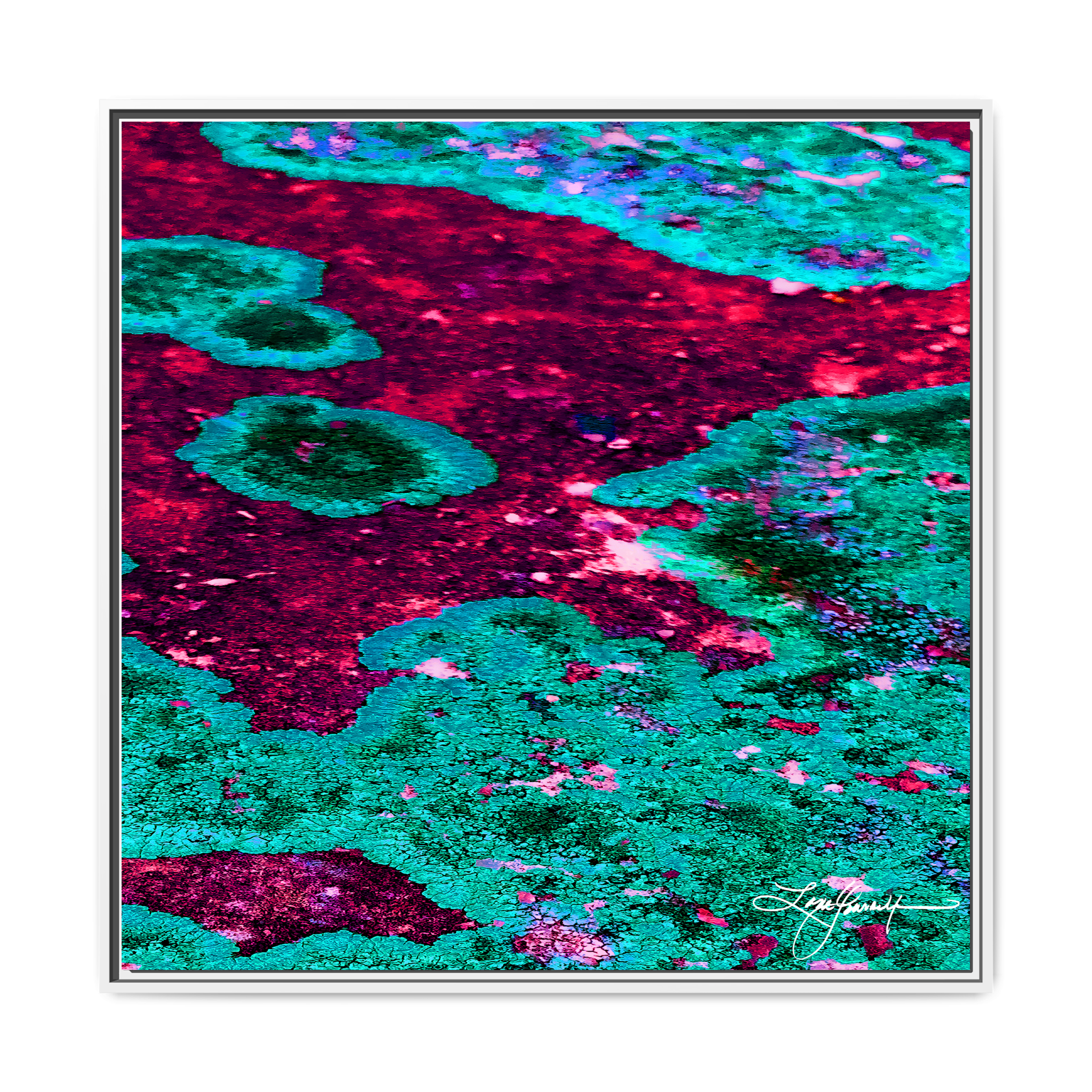TBN003 - My Store
