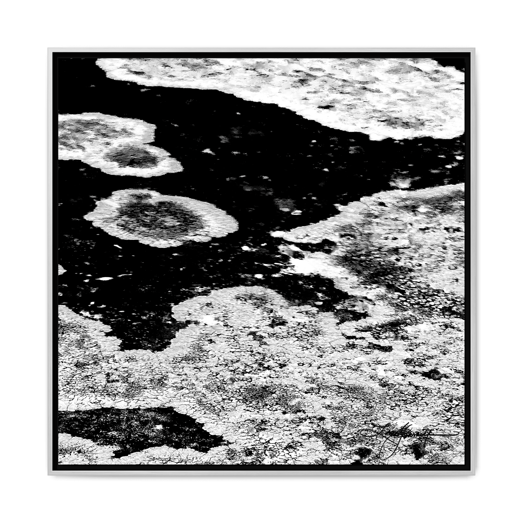 TBN003 - My Store