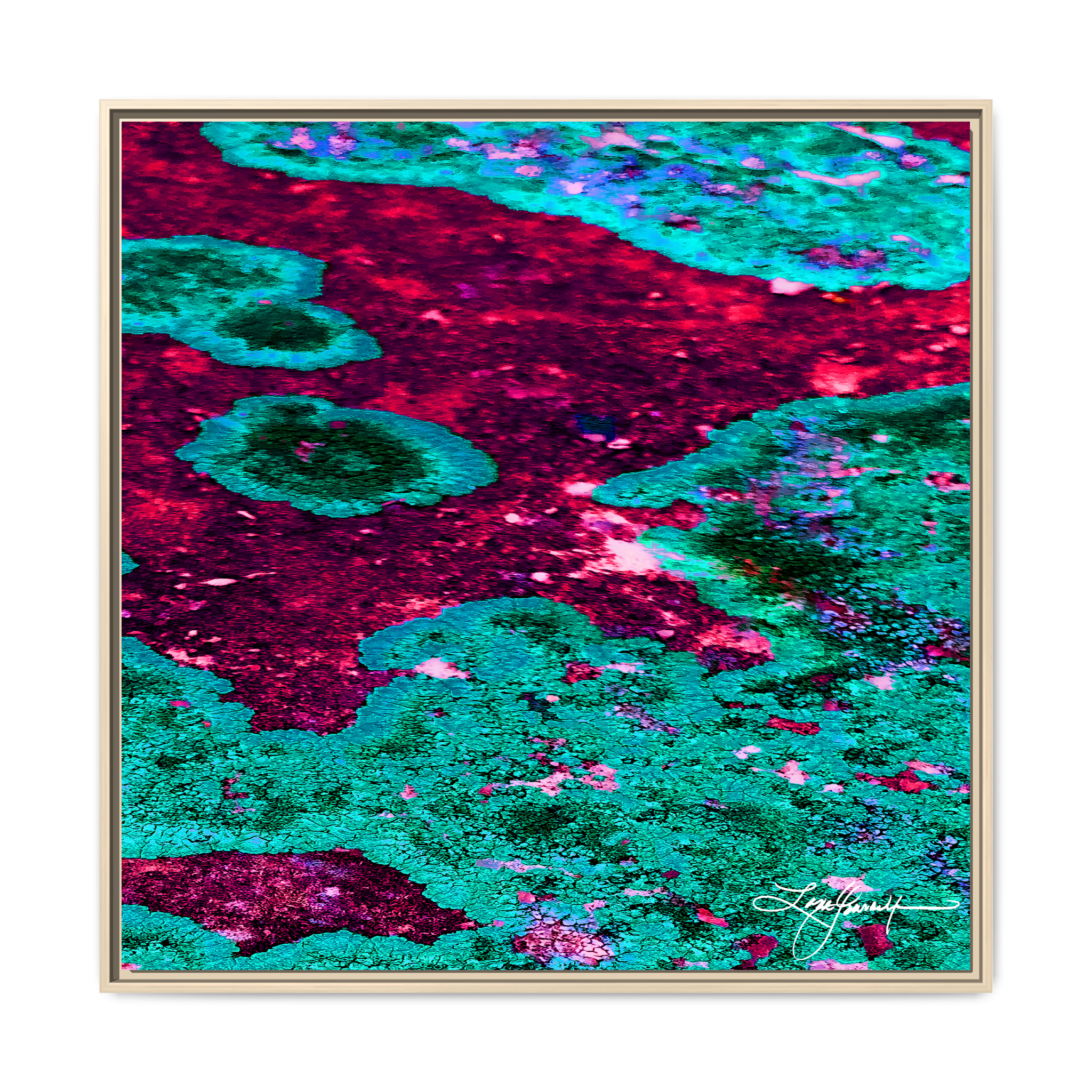 TBN003 - My Store