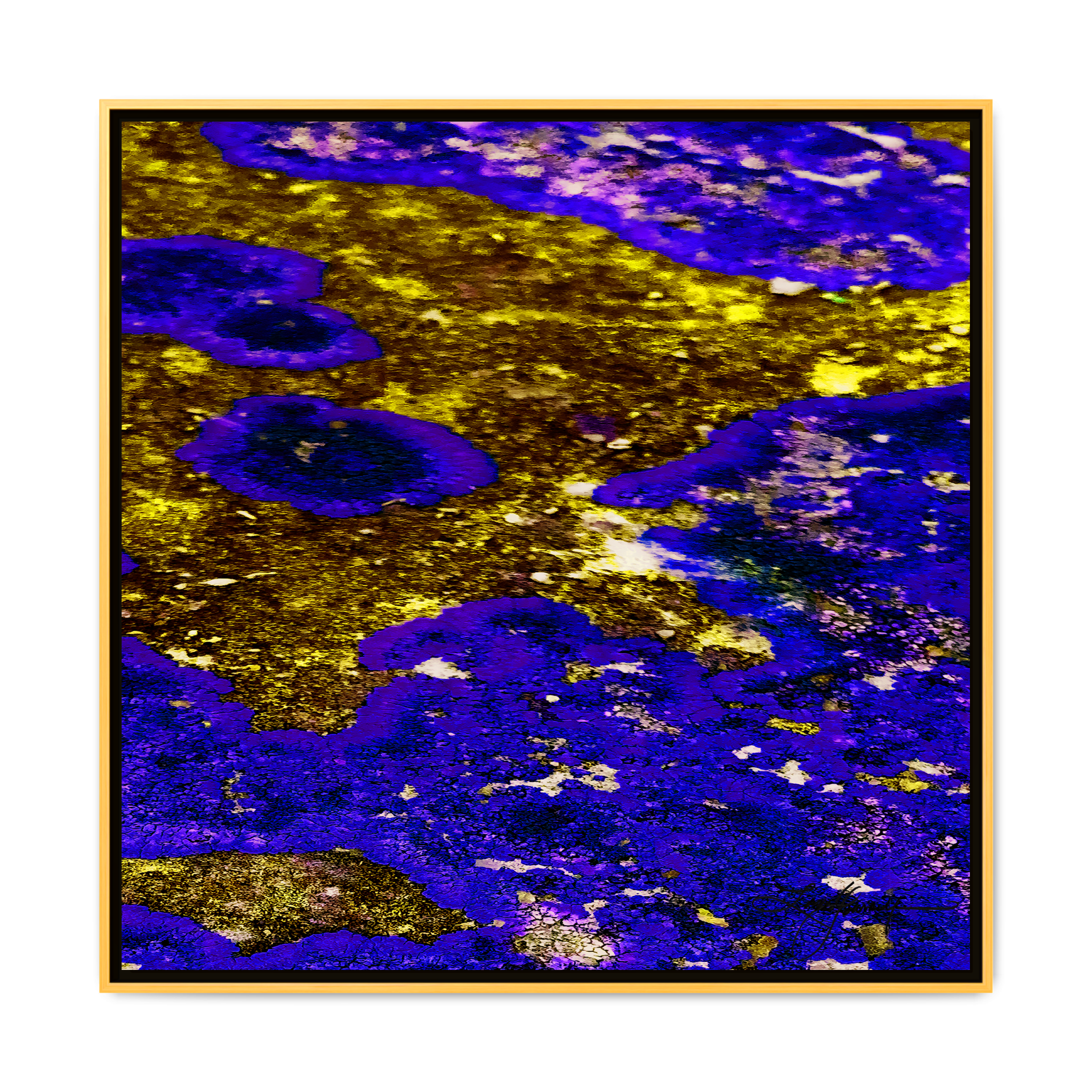TBN003 - My Store
