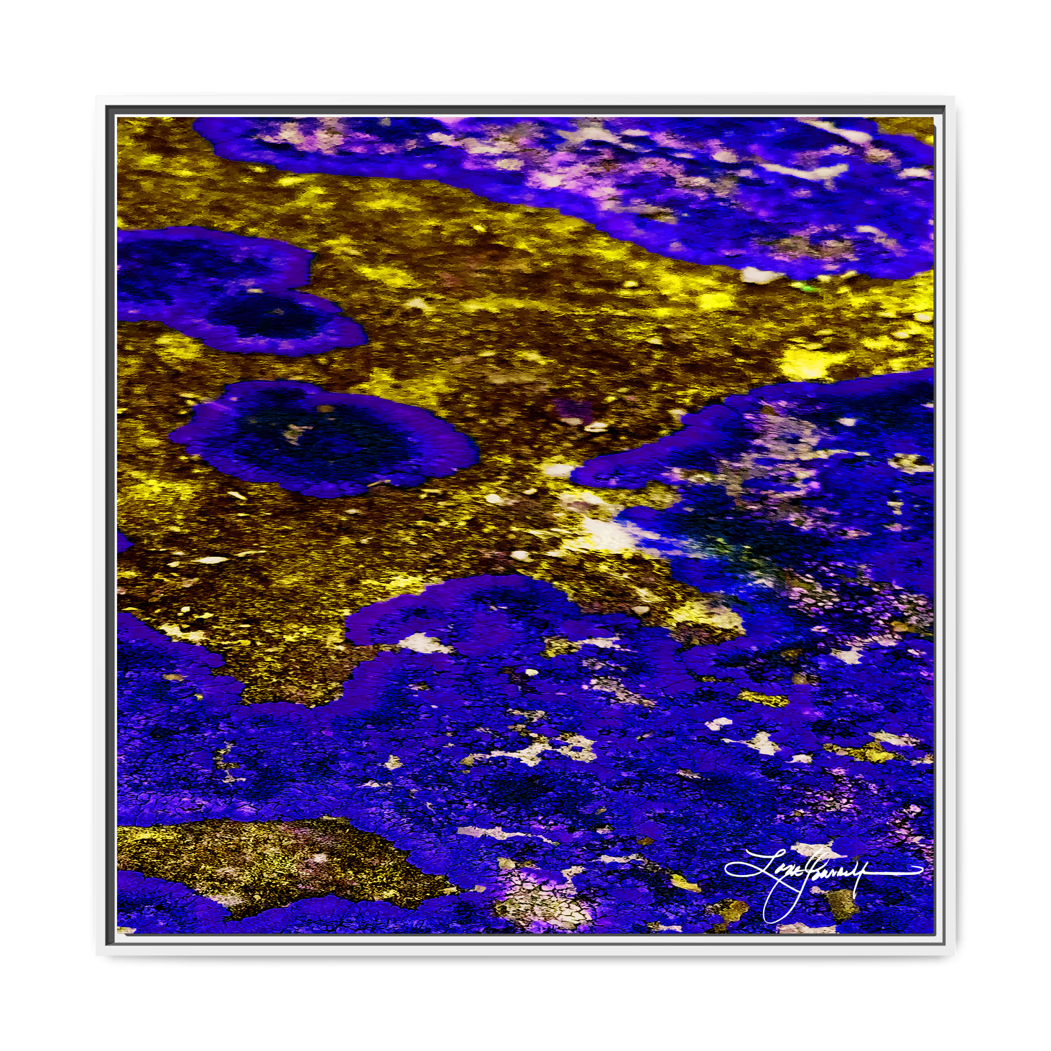 TBN003 - My Store