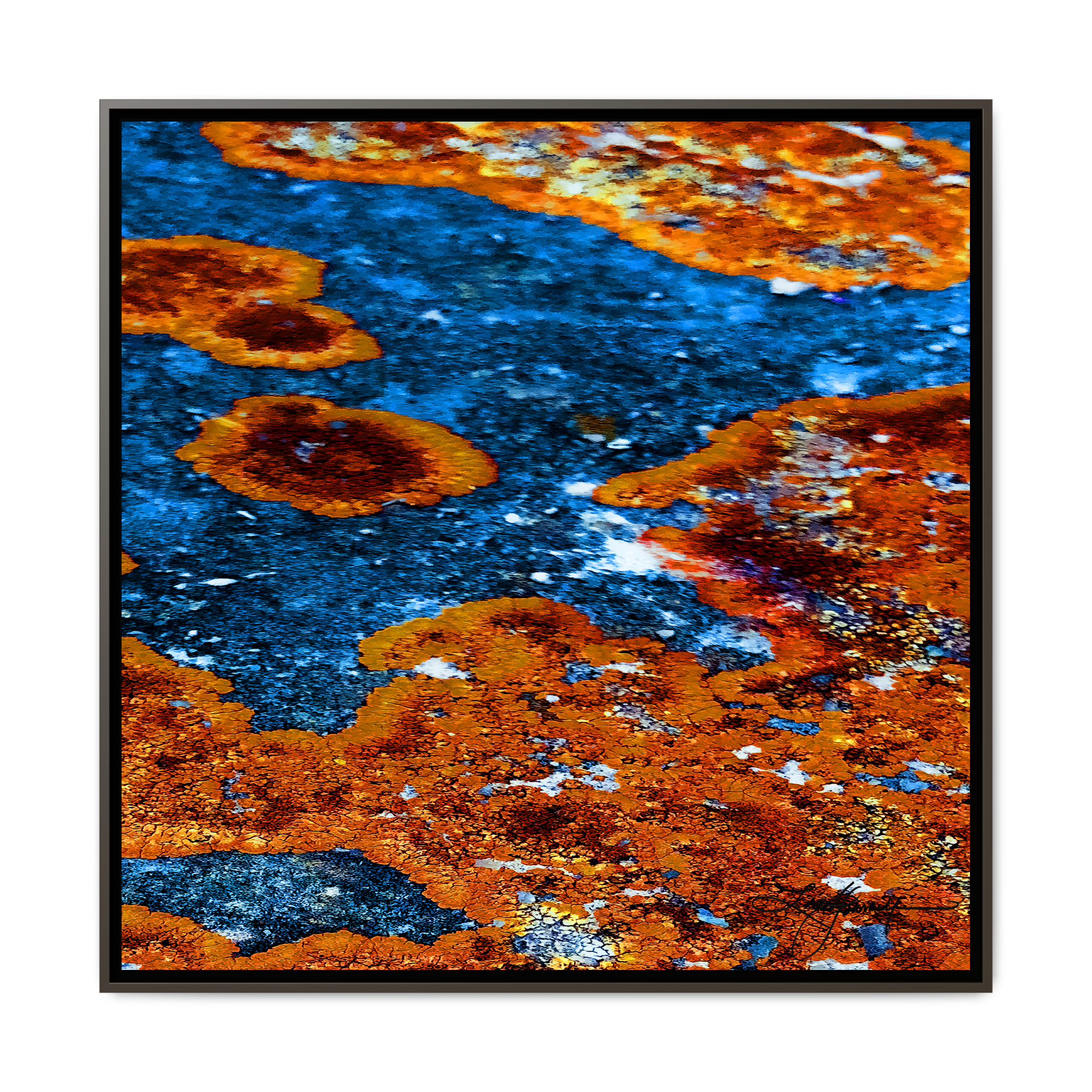 TBN003 - My Store