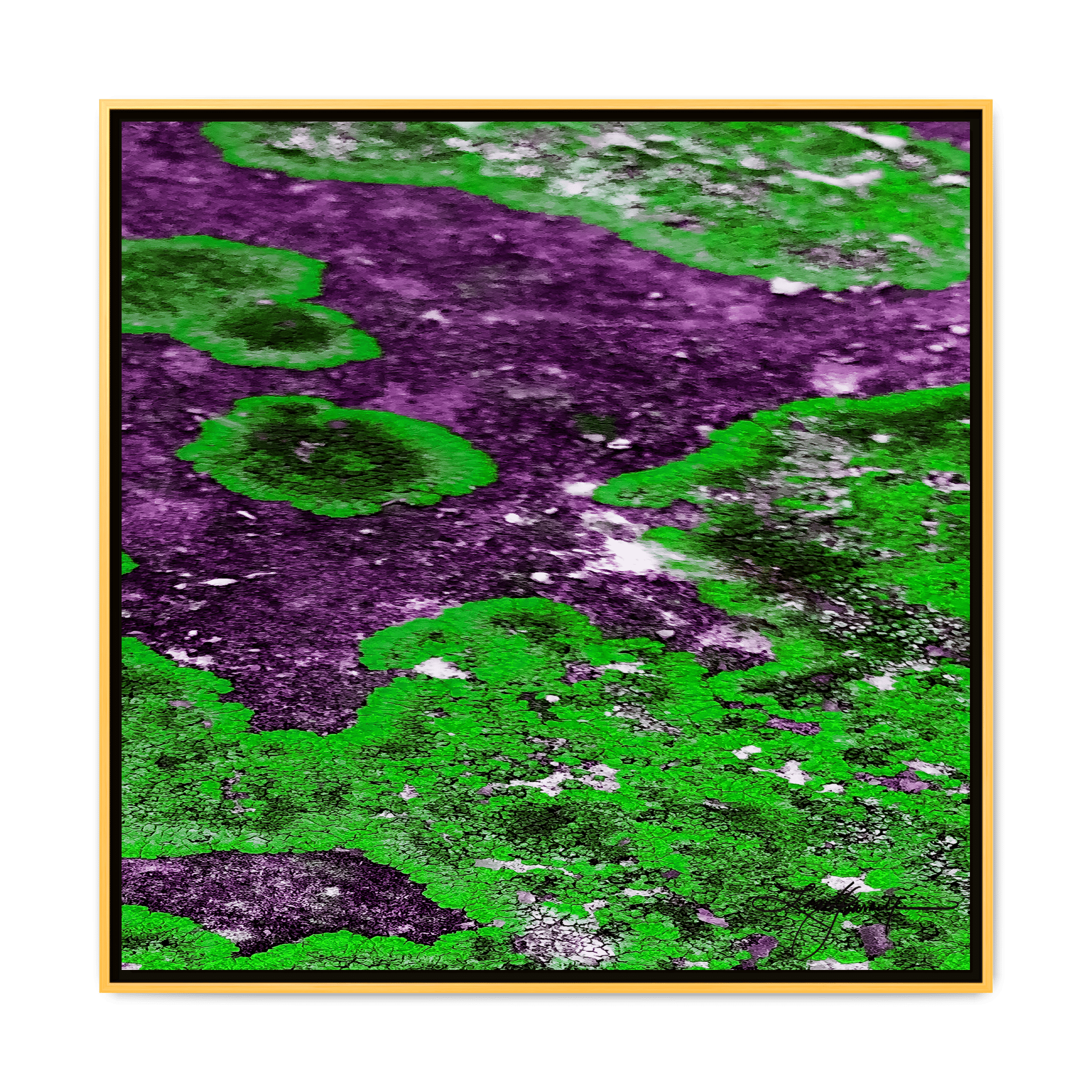 TBN003 - My Store