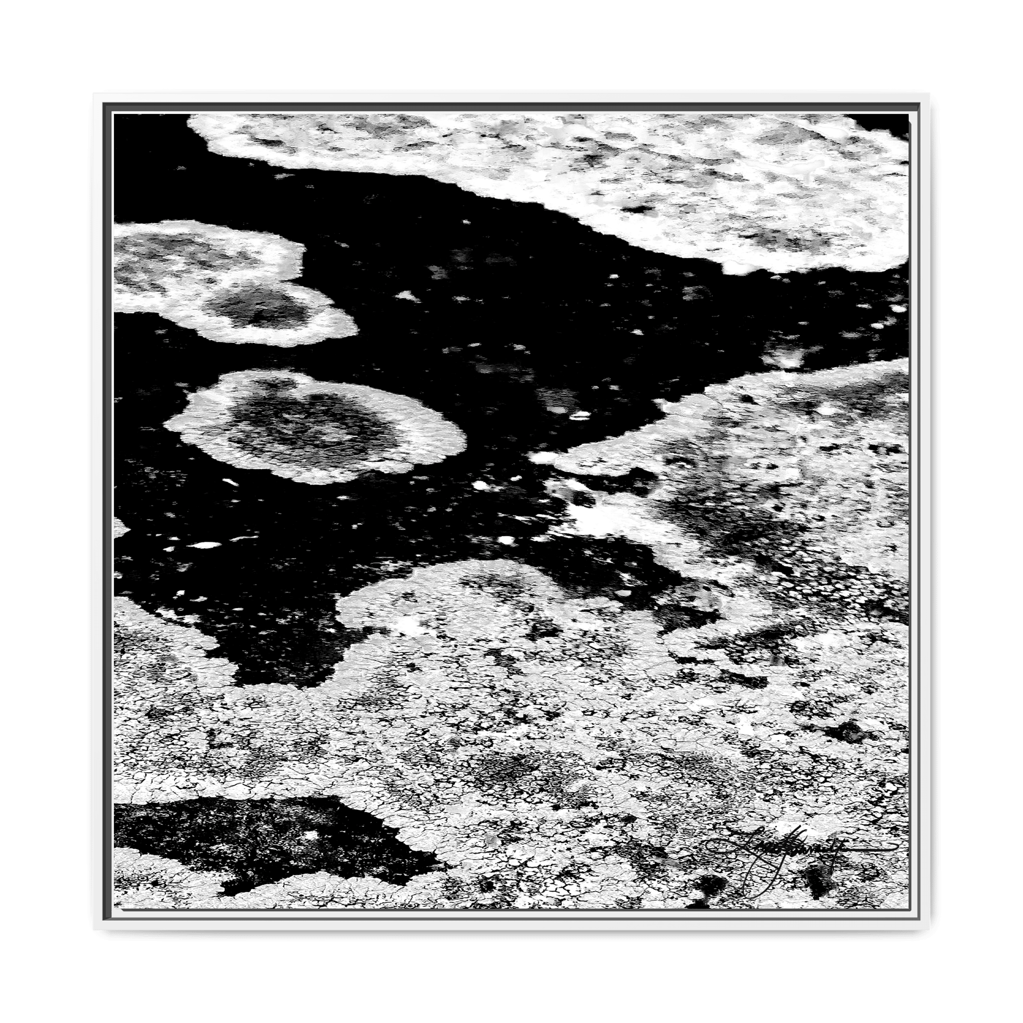TBN003 - My Store