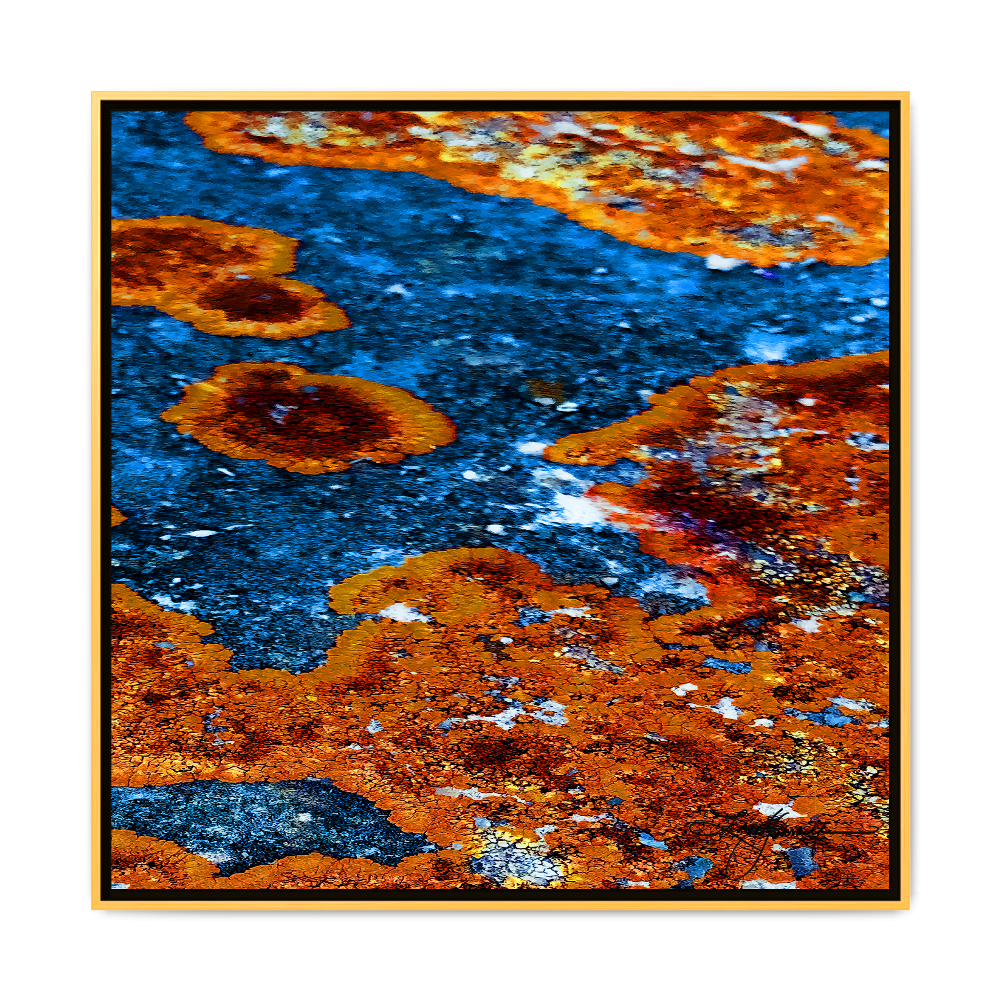 TBN003 - My Store