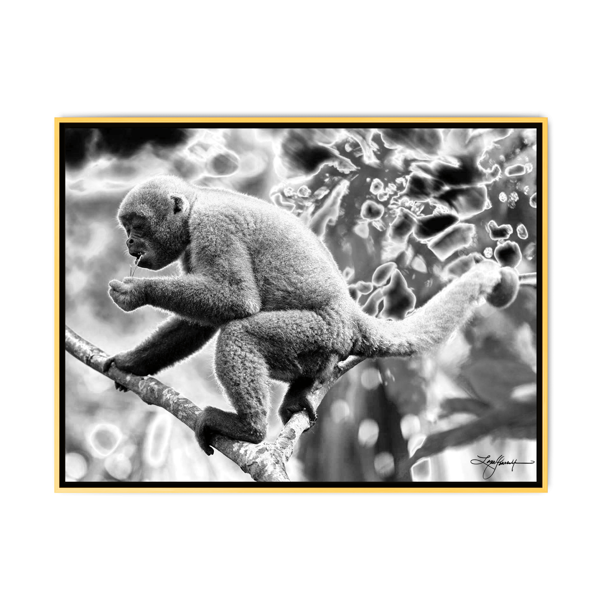 TBN010 - My Store
