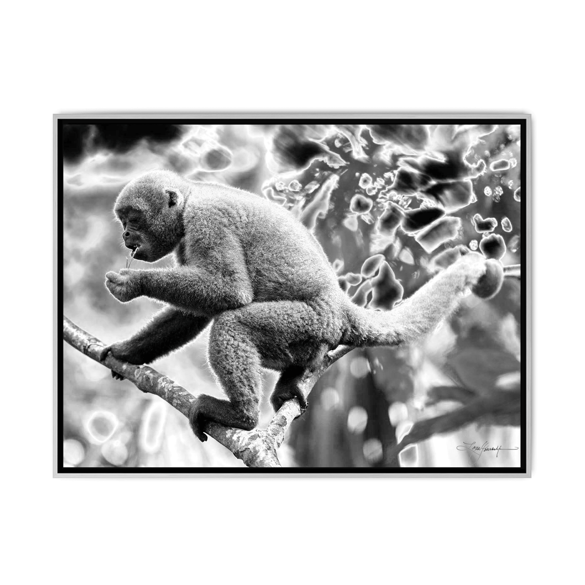 TBN010 - My Store