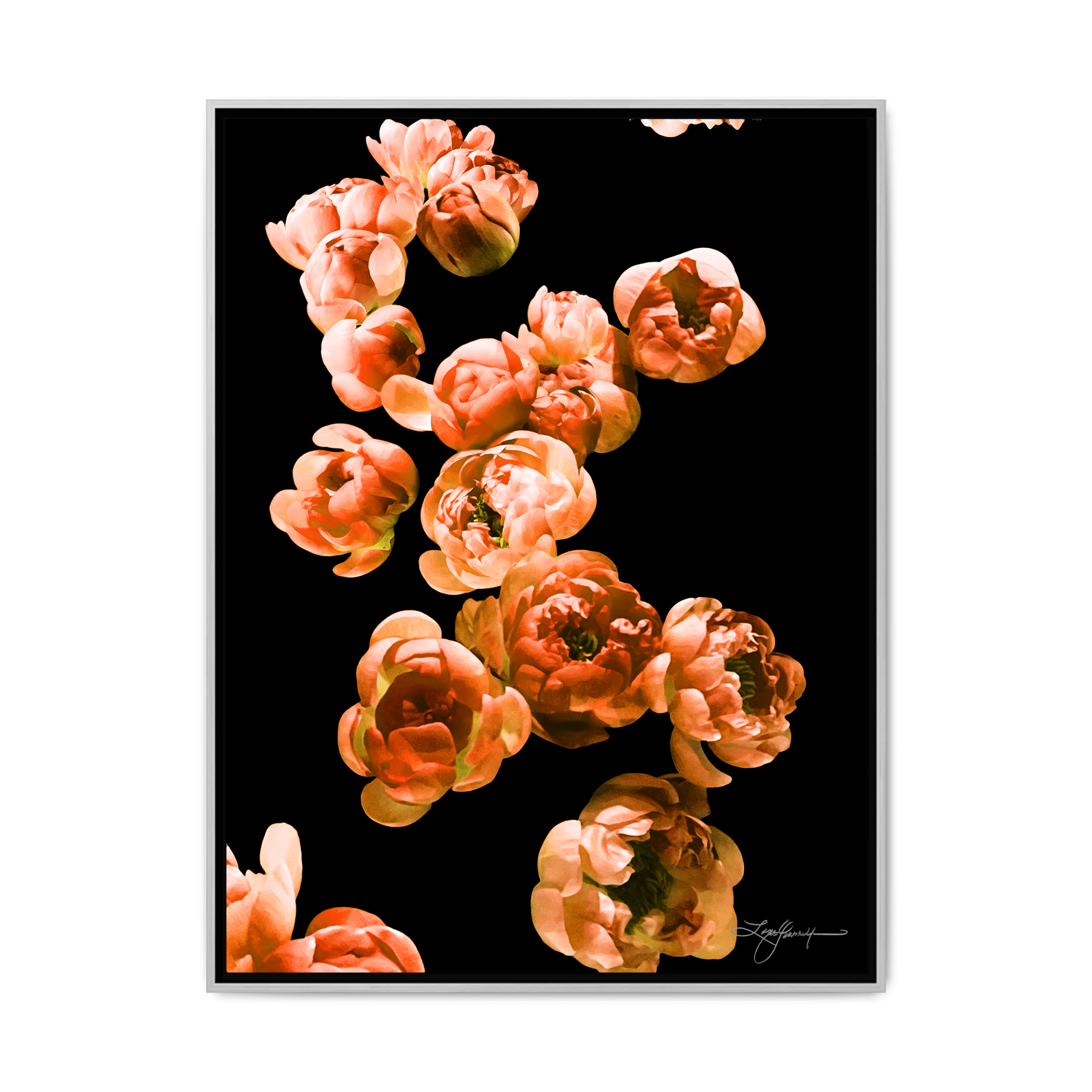 TBNA - My Store