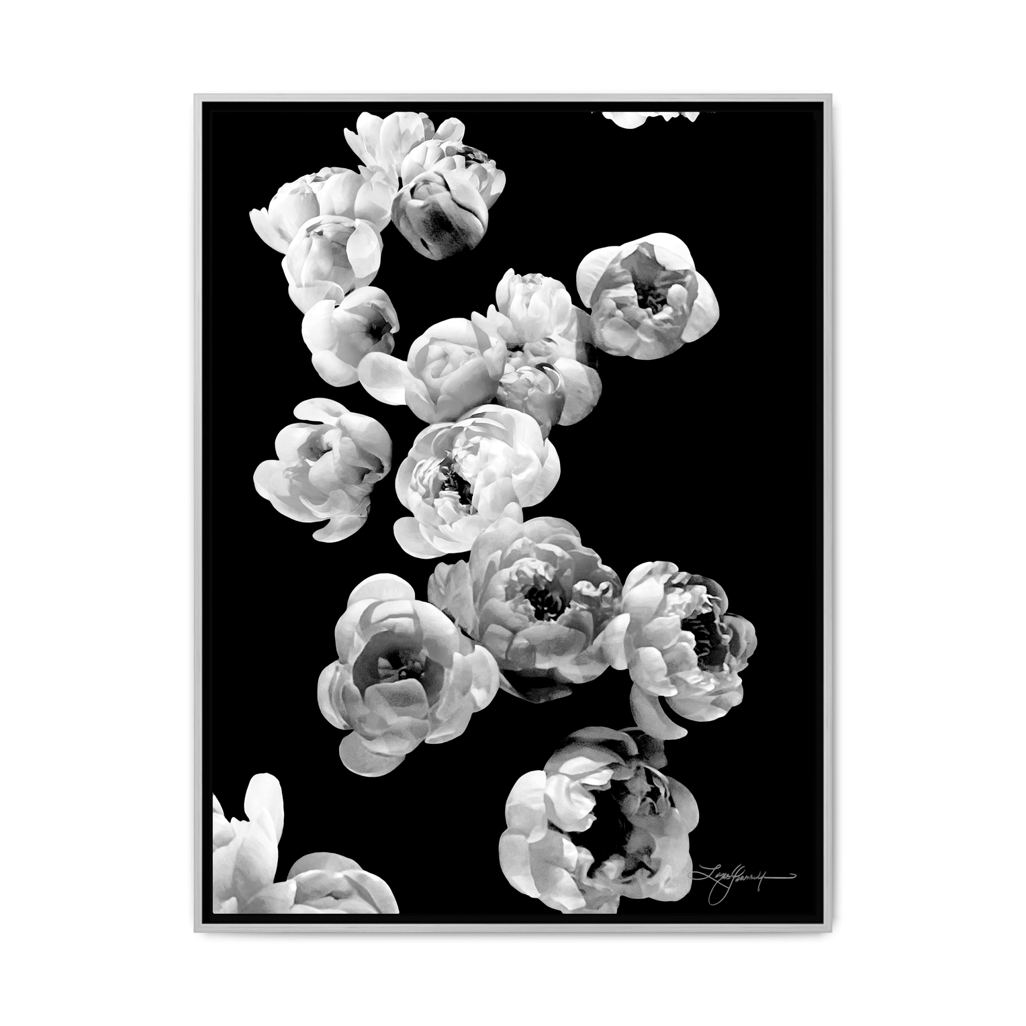 TBNA - My Store