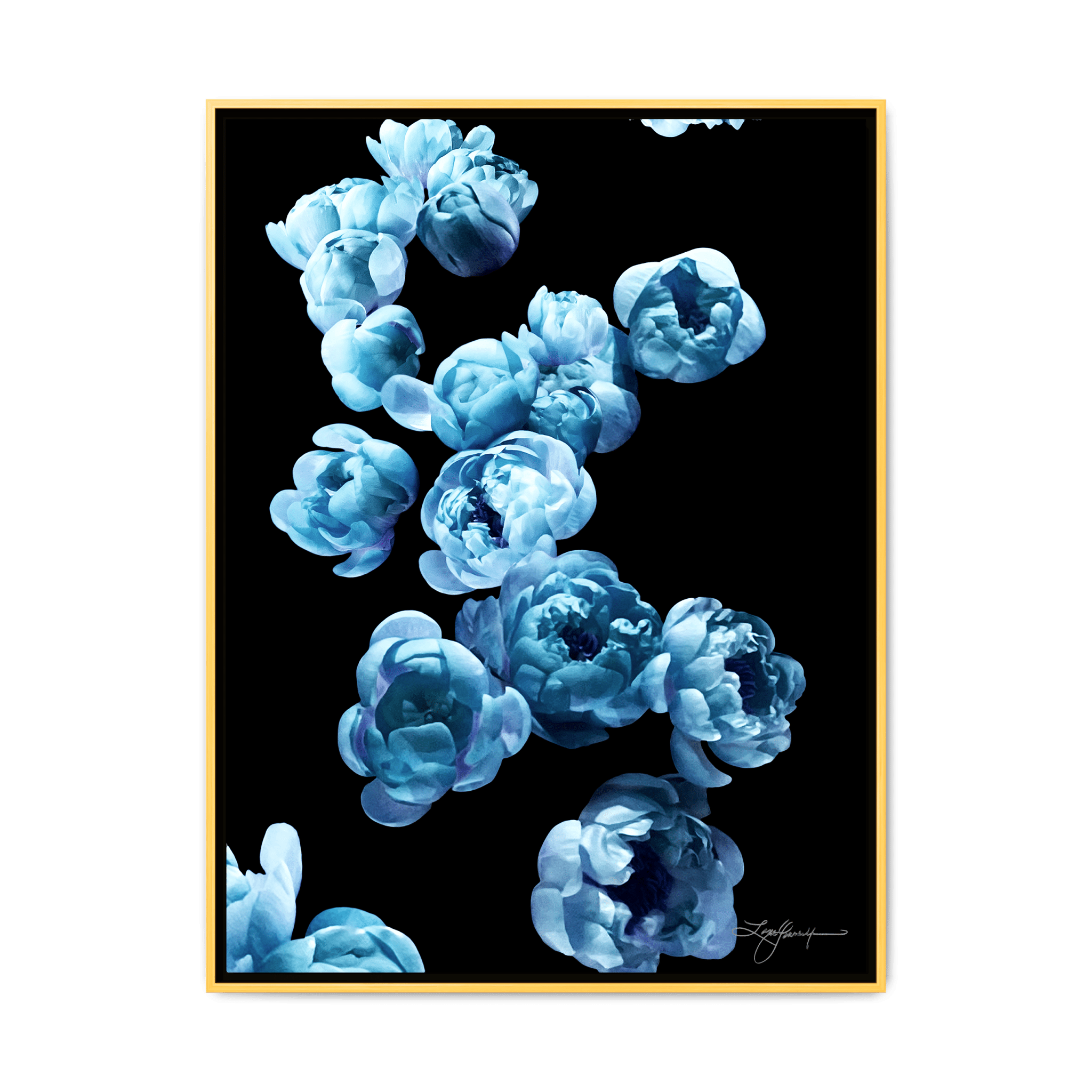 TBNA - My Store