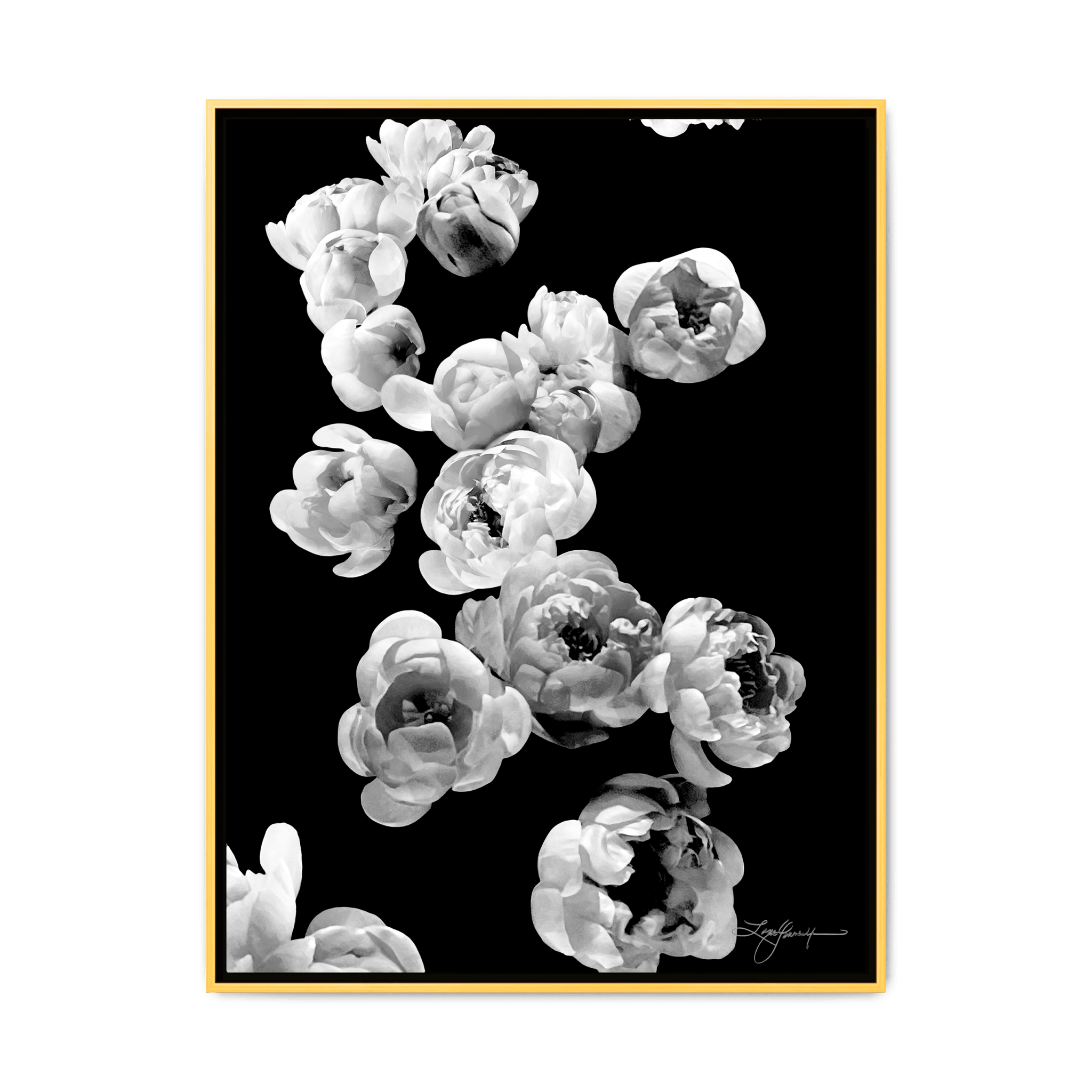 TBNA - My Store
