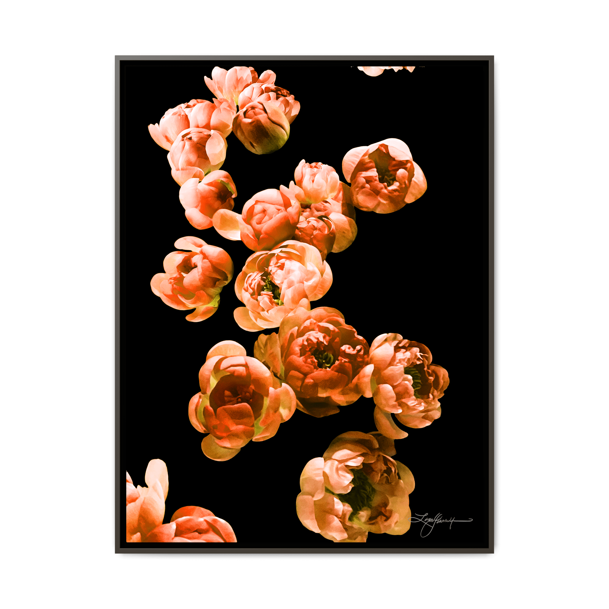 TBNA - My Store
