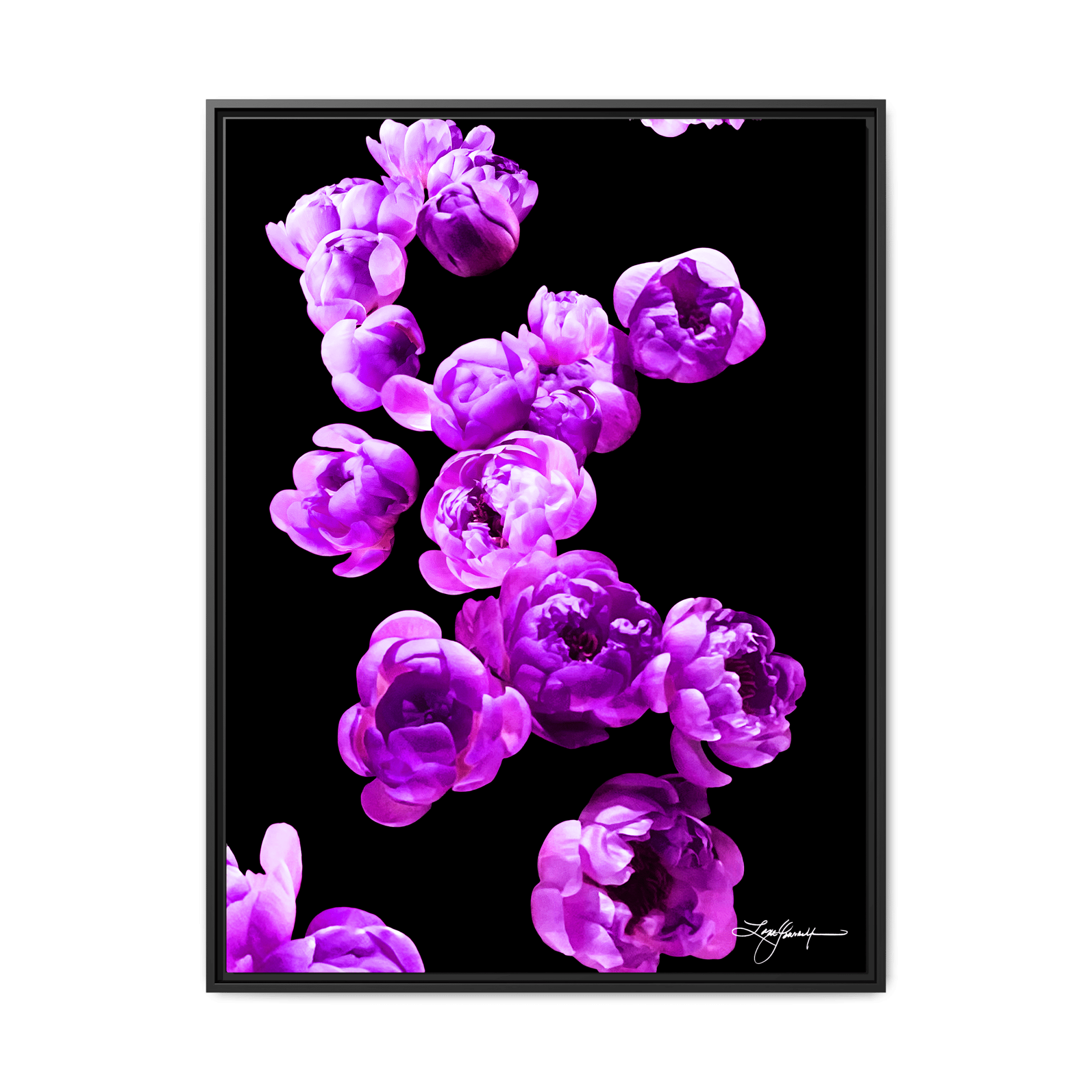 TBNA - My Store