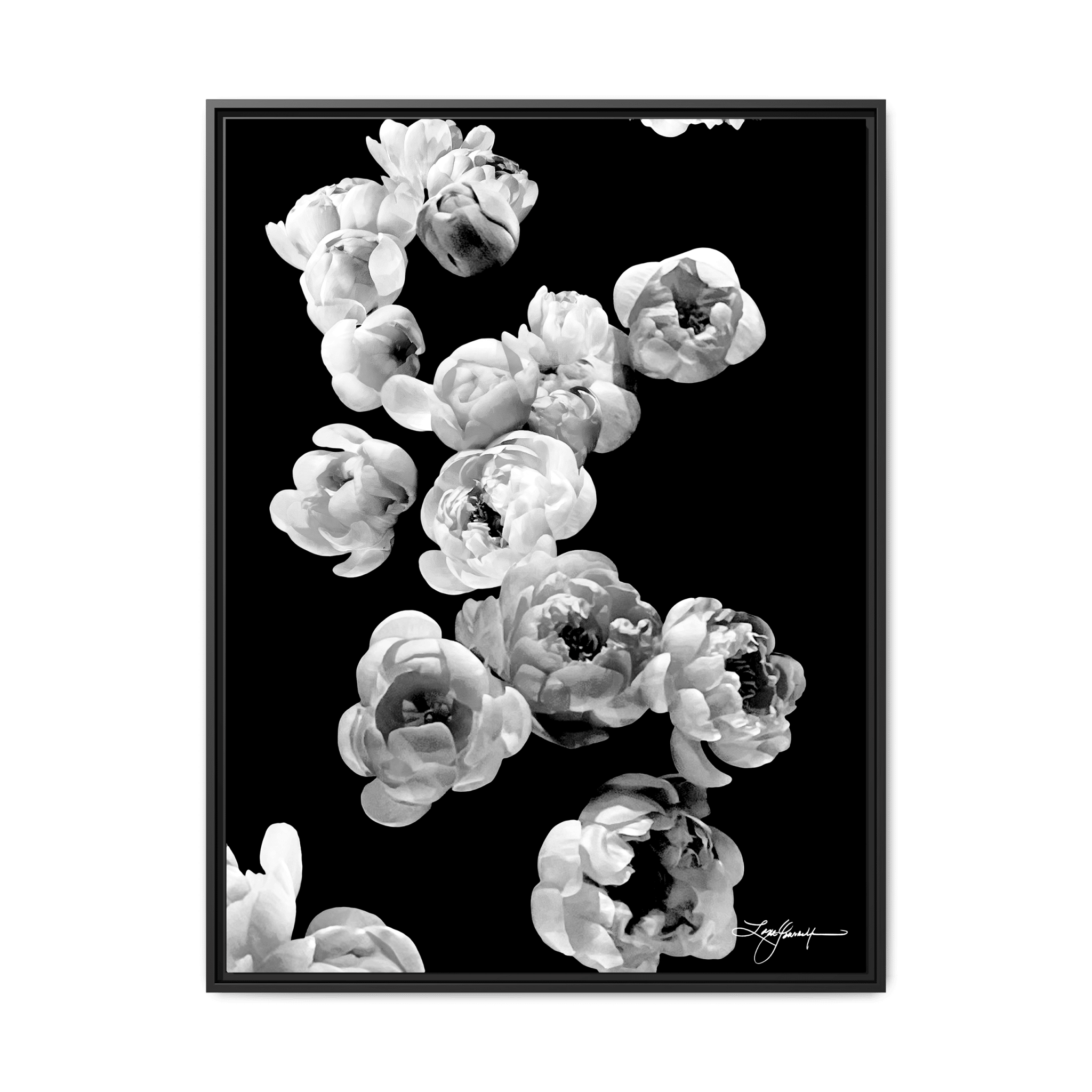 TBNA - My Store