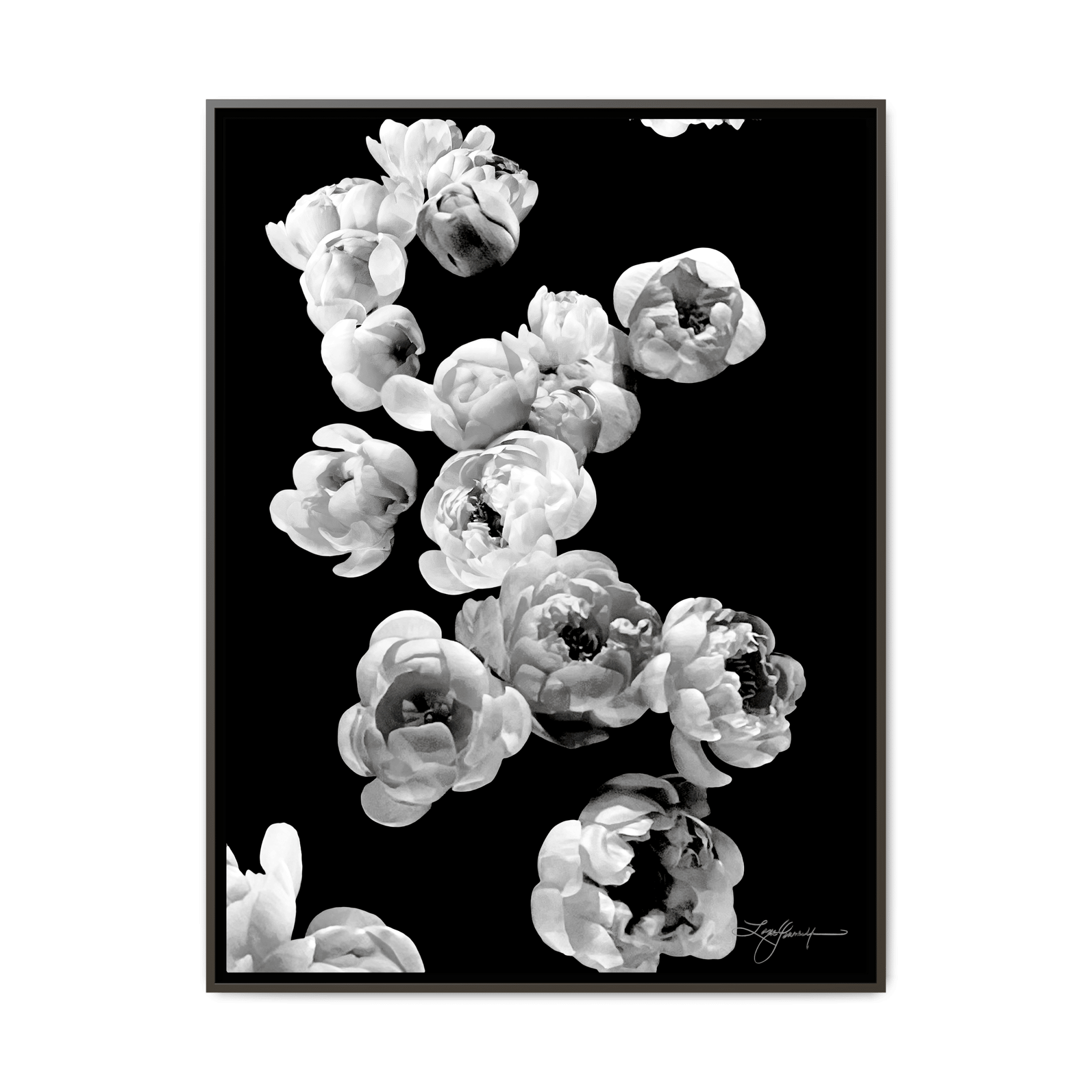 TBNA - My Store