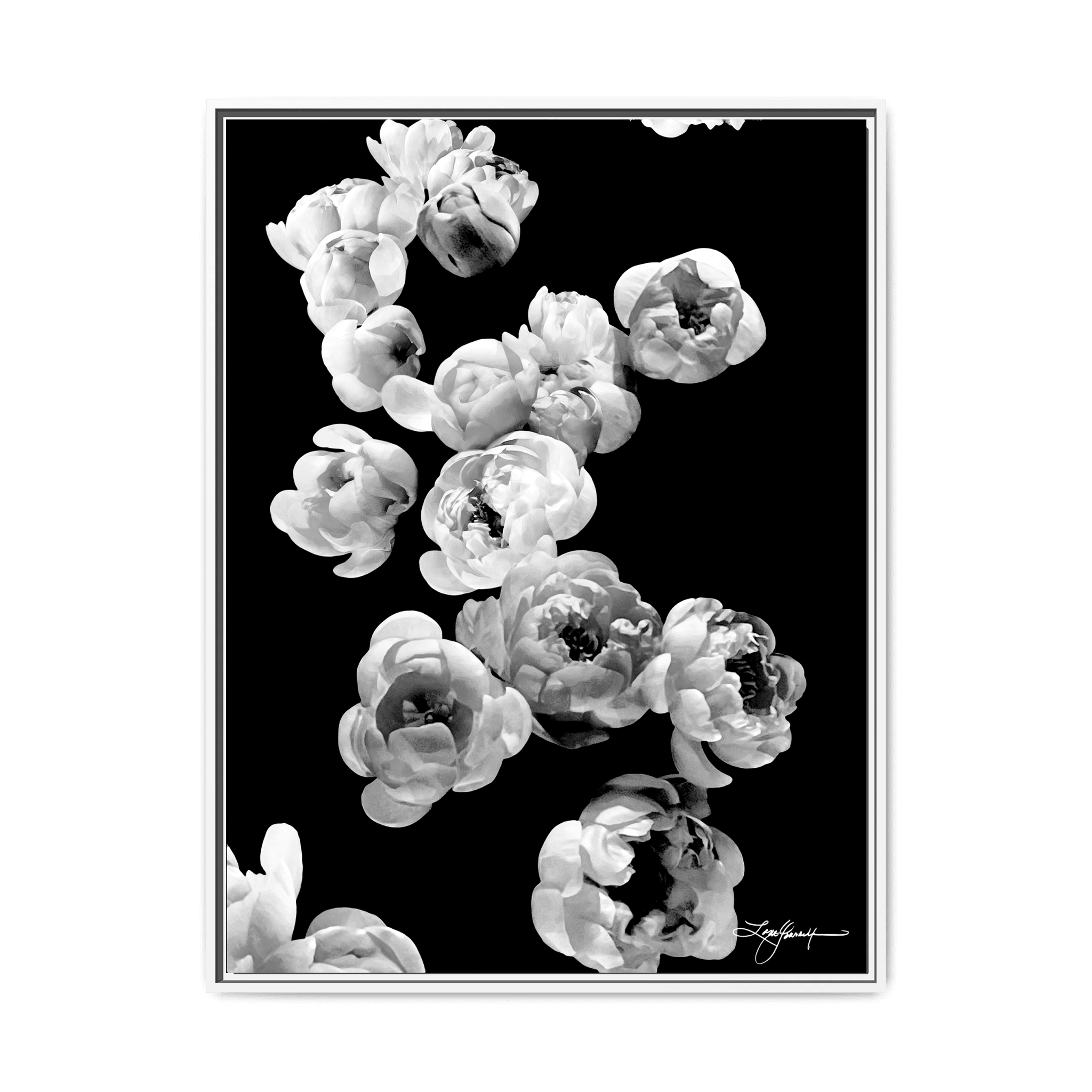 TBNA - My Store
