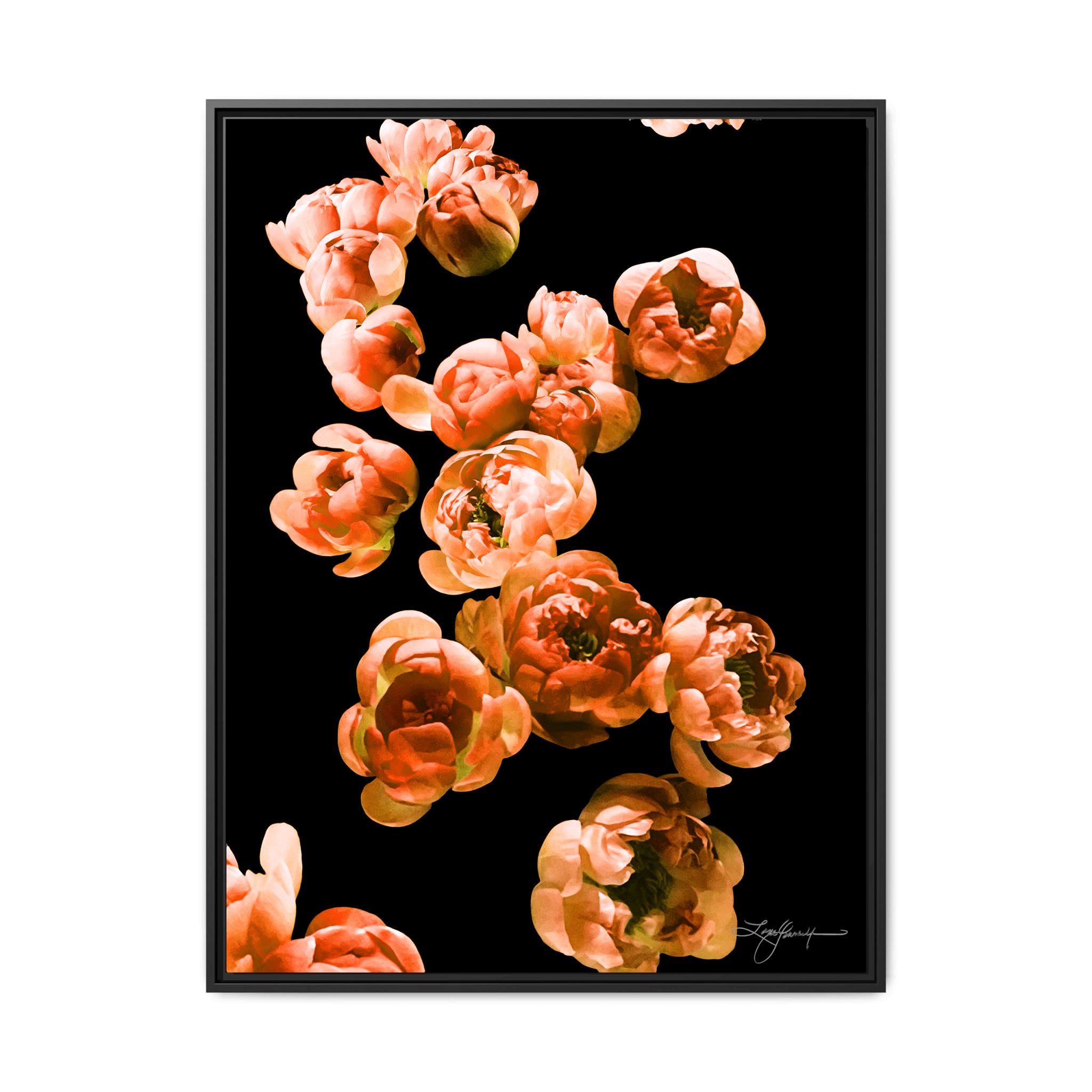 TBNA - My Store