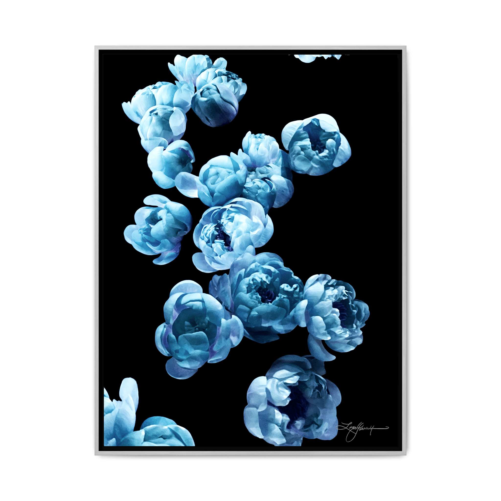 TBNA - My Store