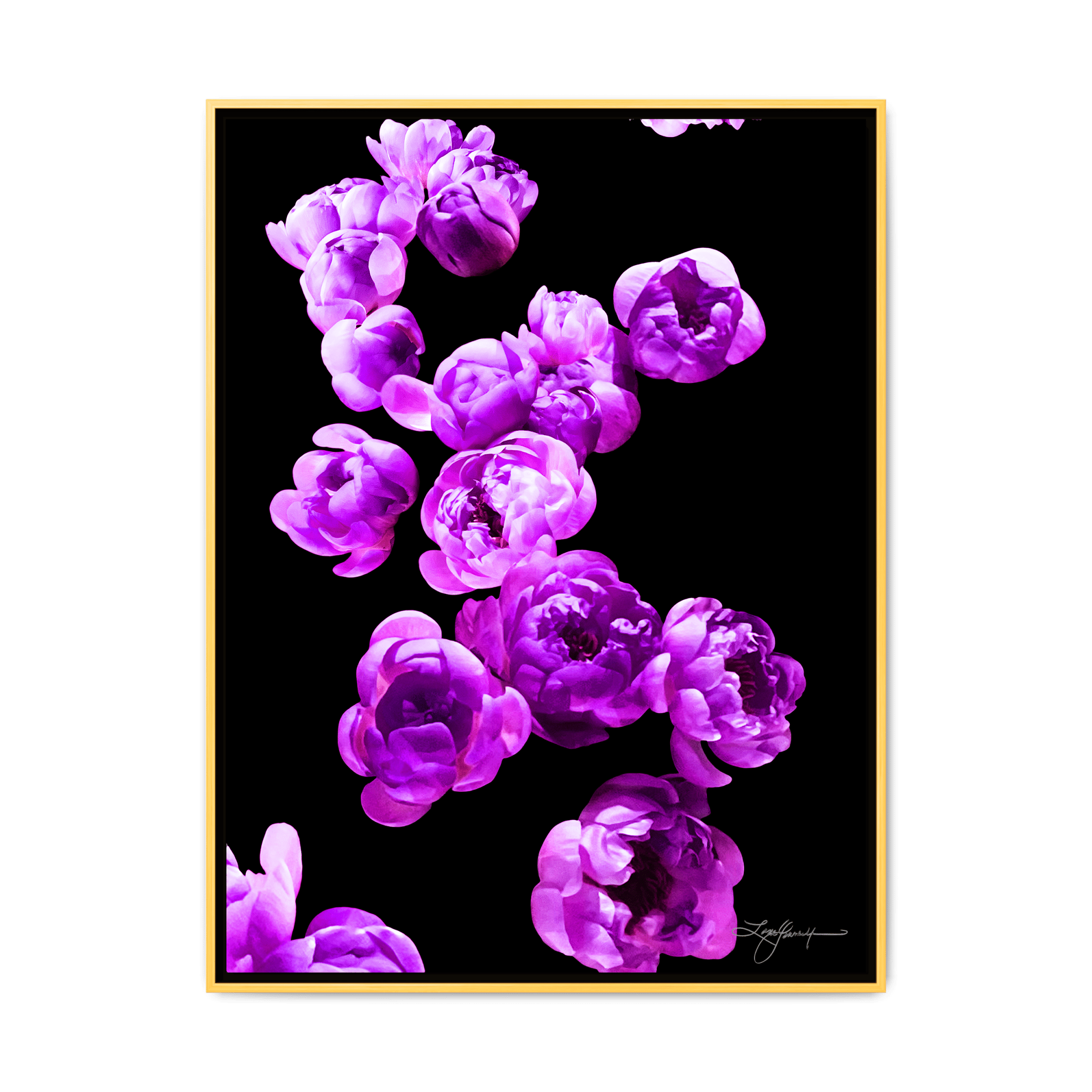 TBNA - My Store