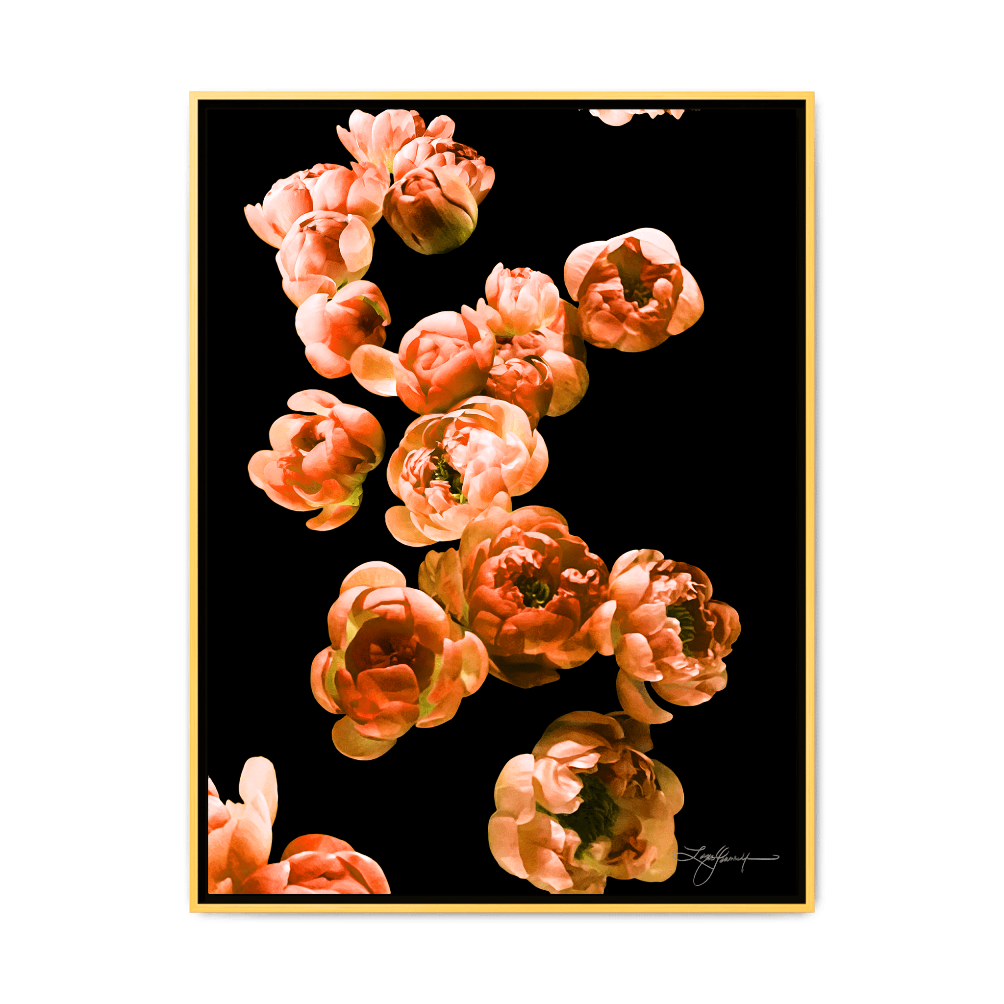 TBNA - My Store