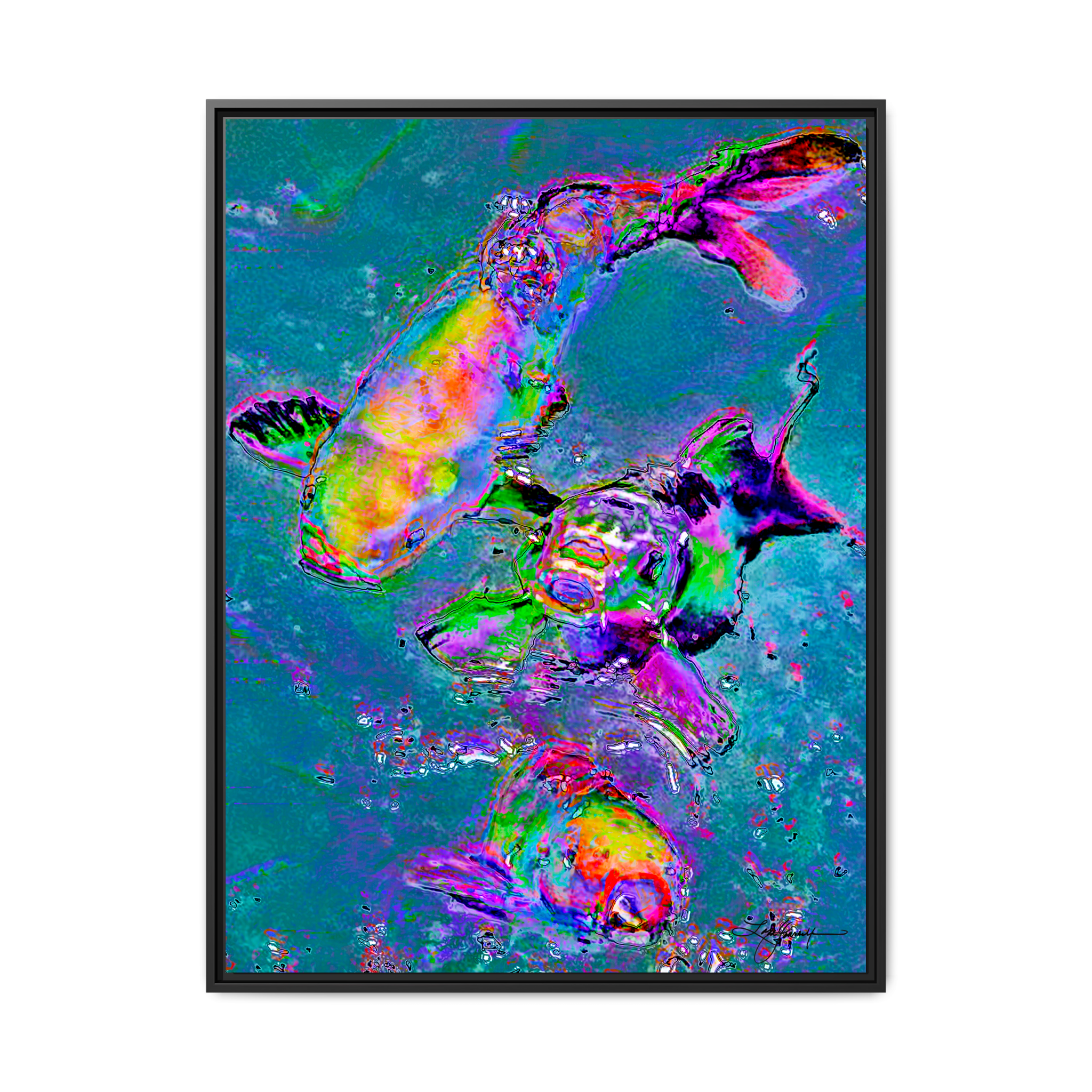 TBNC - My Store