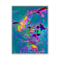 TBNC - My Store