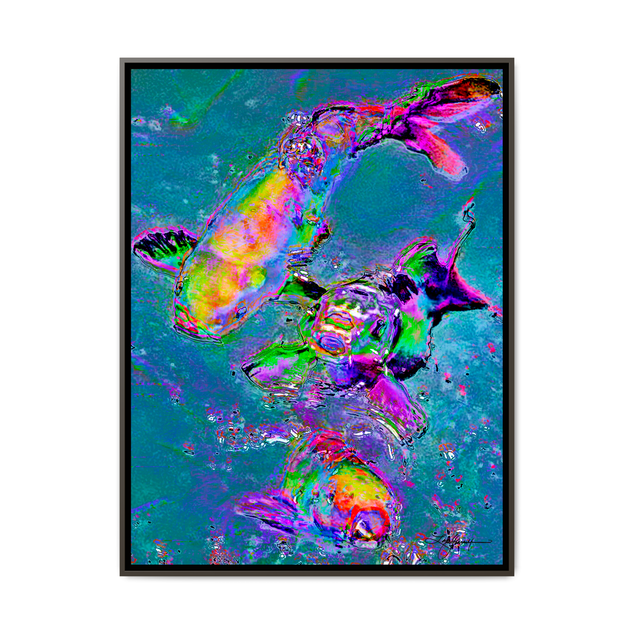 TBNC - My Store